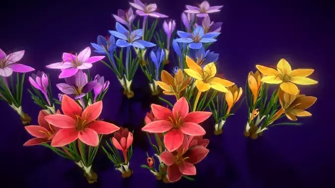 Flower Showy Autumn Crocus Low-poly 3D model