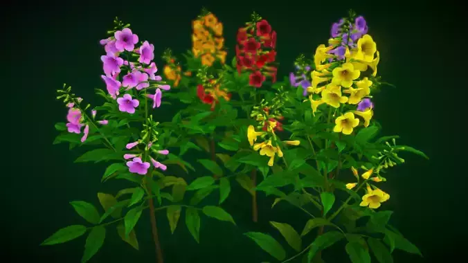 Flower Bahamas Low-poly 3D model