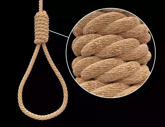 Noose rope 3D model