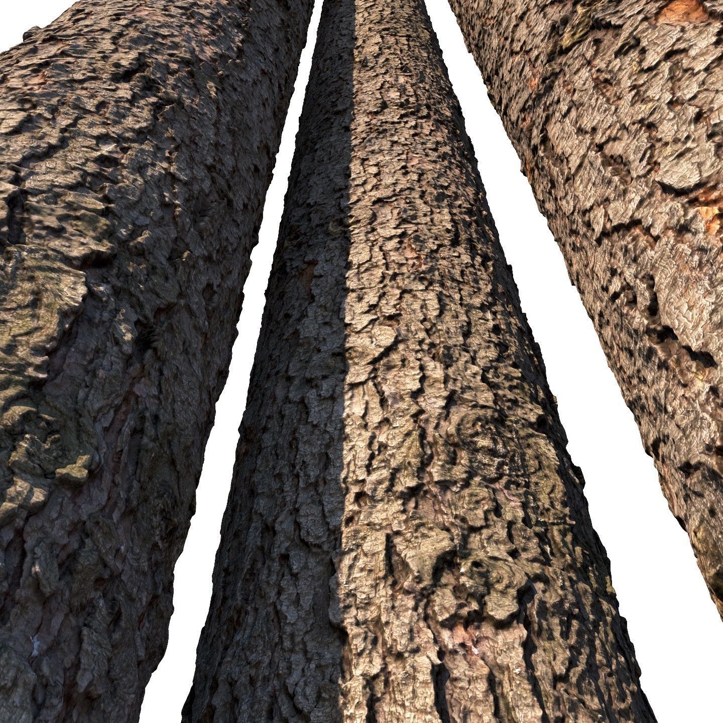 Spruce bark material 3D model_5