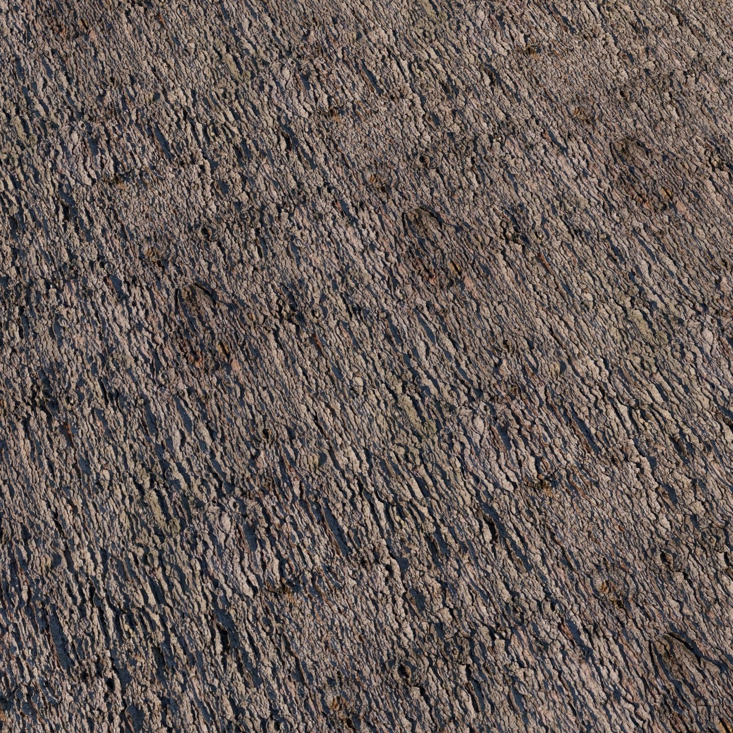 Spruce bark material 3D model_10