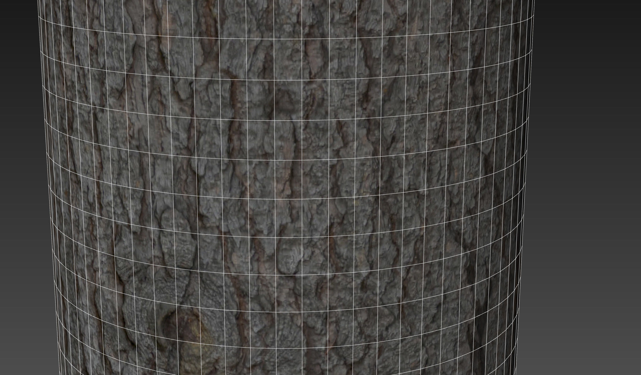 Spruce bark material 3D model_13