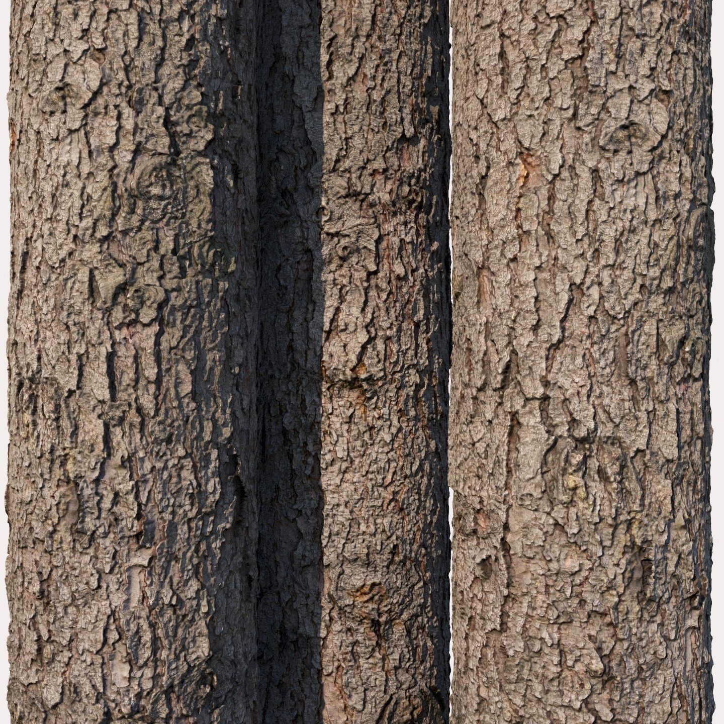 Spruce bark material 3D model_7