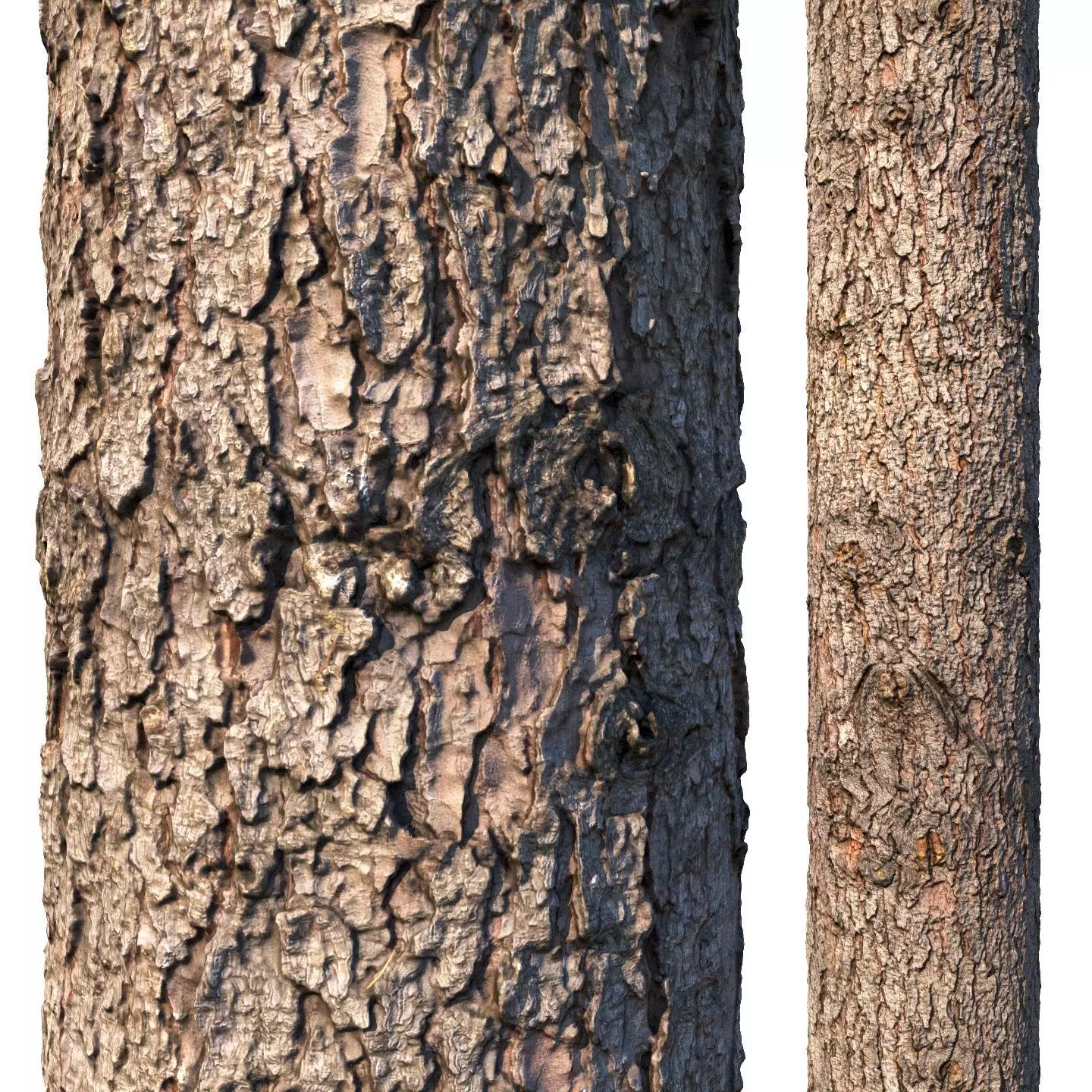 Spruce bark material 3D model_0