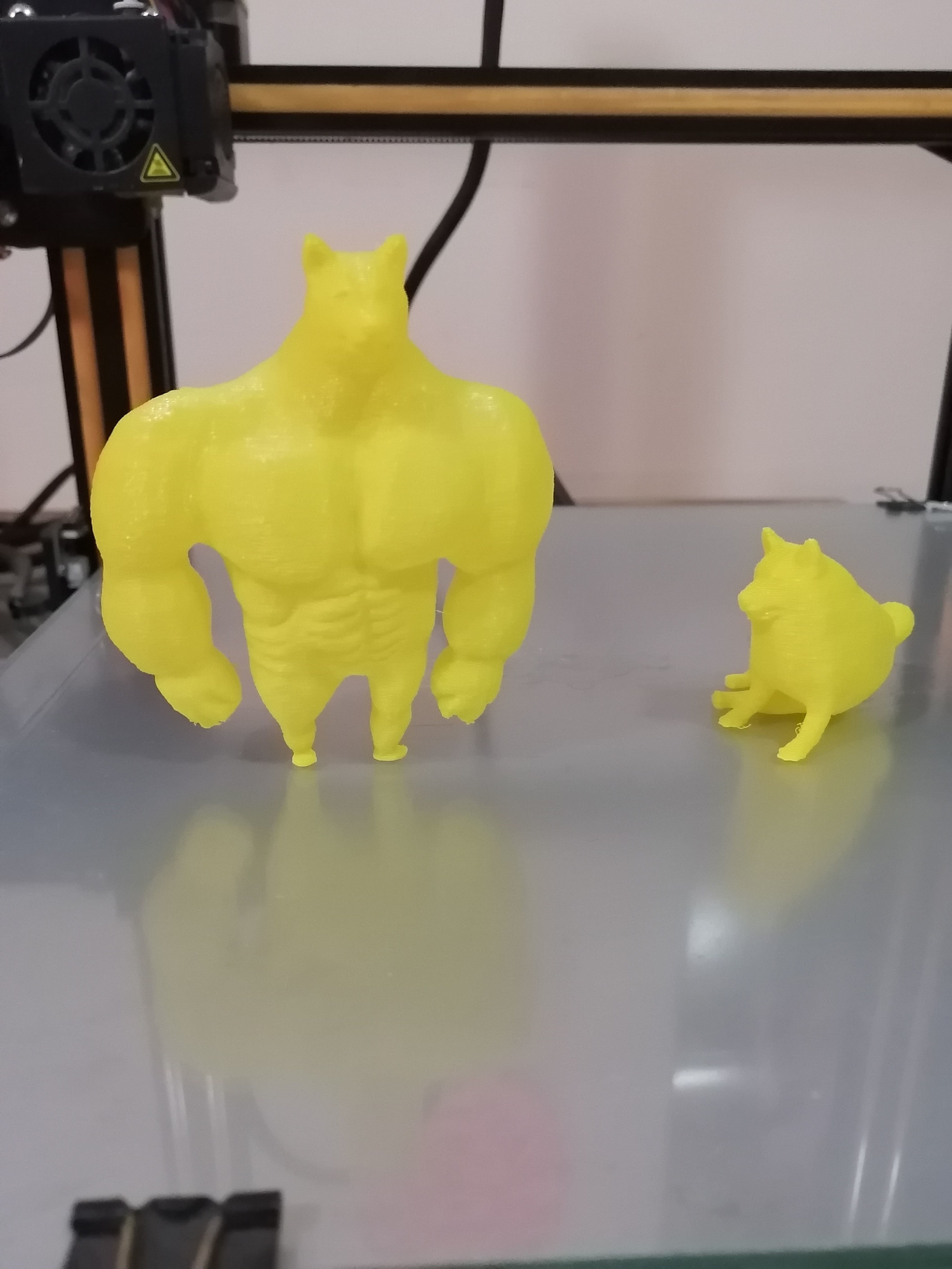 SWOLE DOGE MEME 3D print model_4