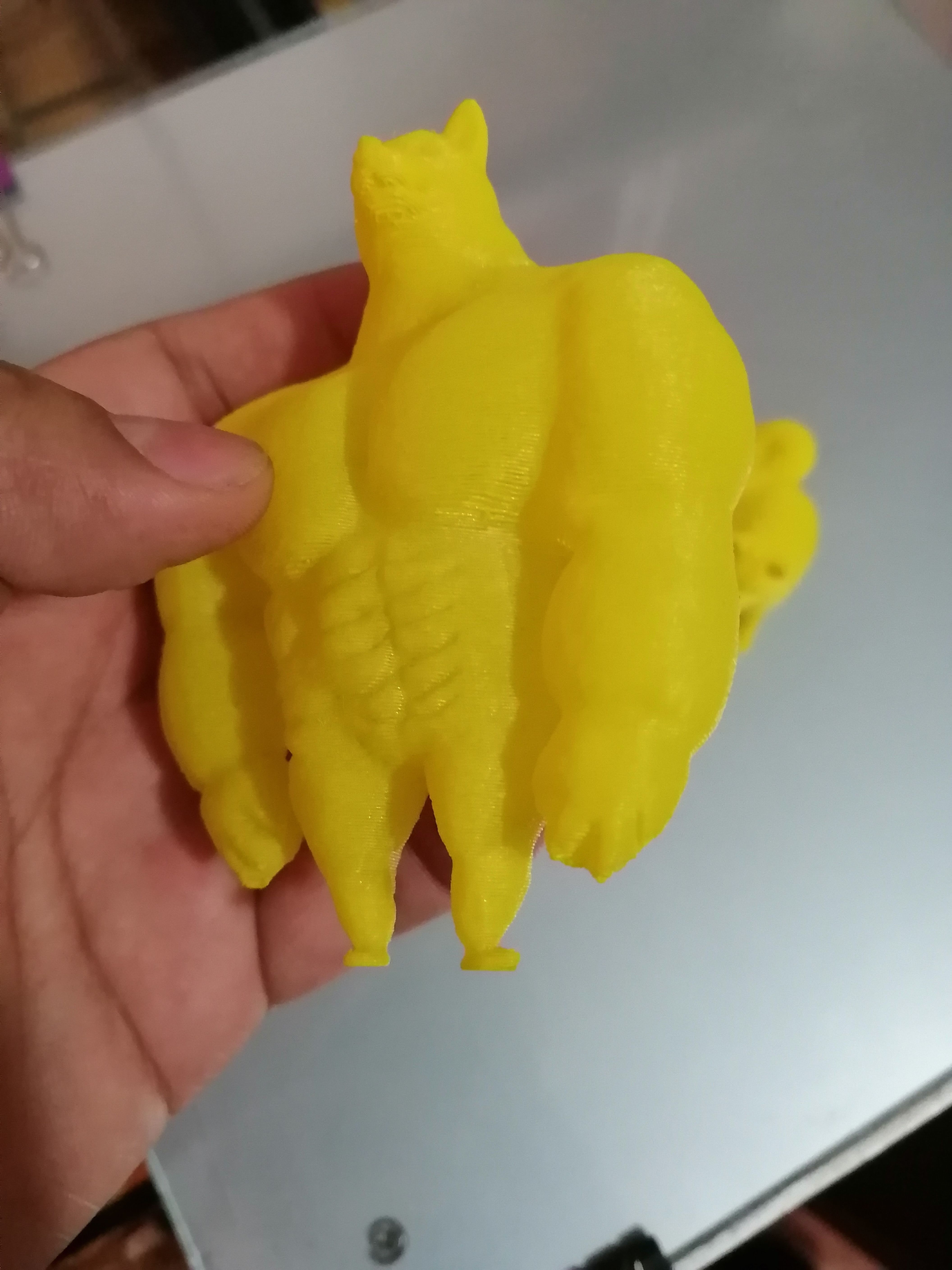 SWOLE DOGE MEME 3D print model_3