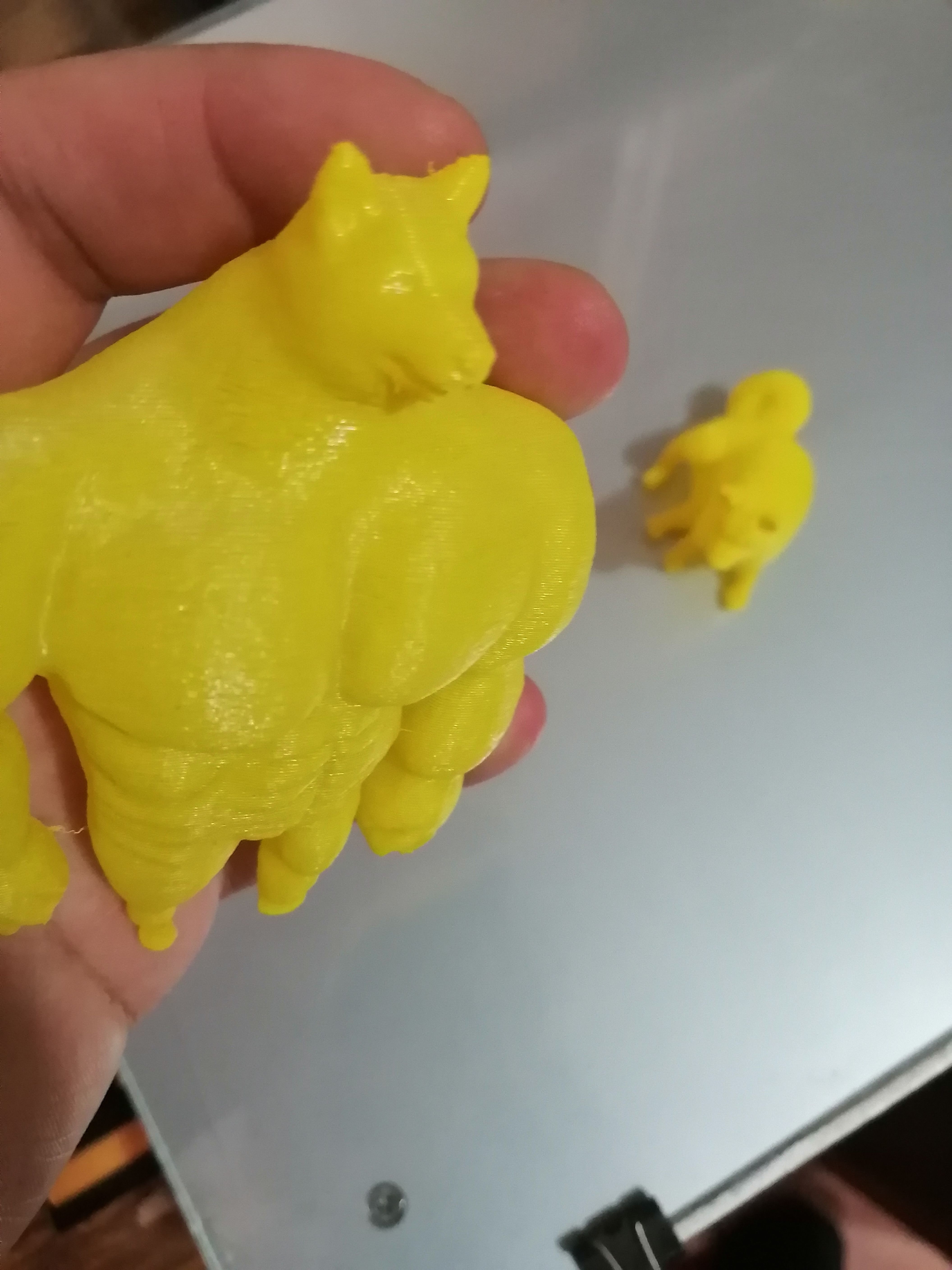 SWOLE DOGE MEME 3D print model_8