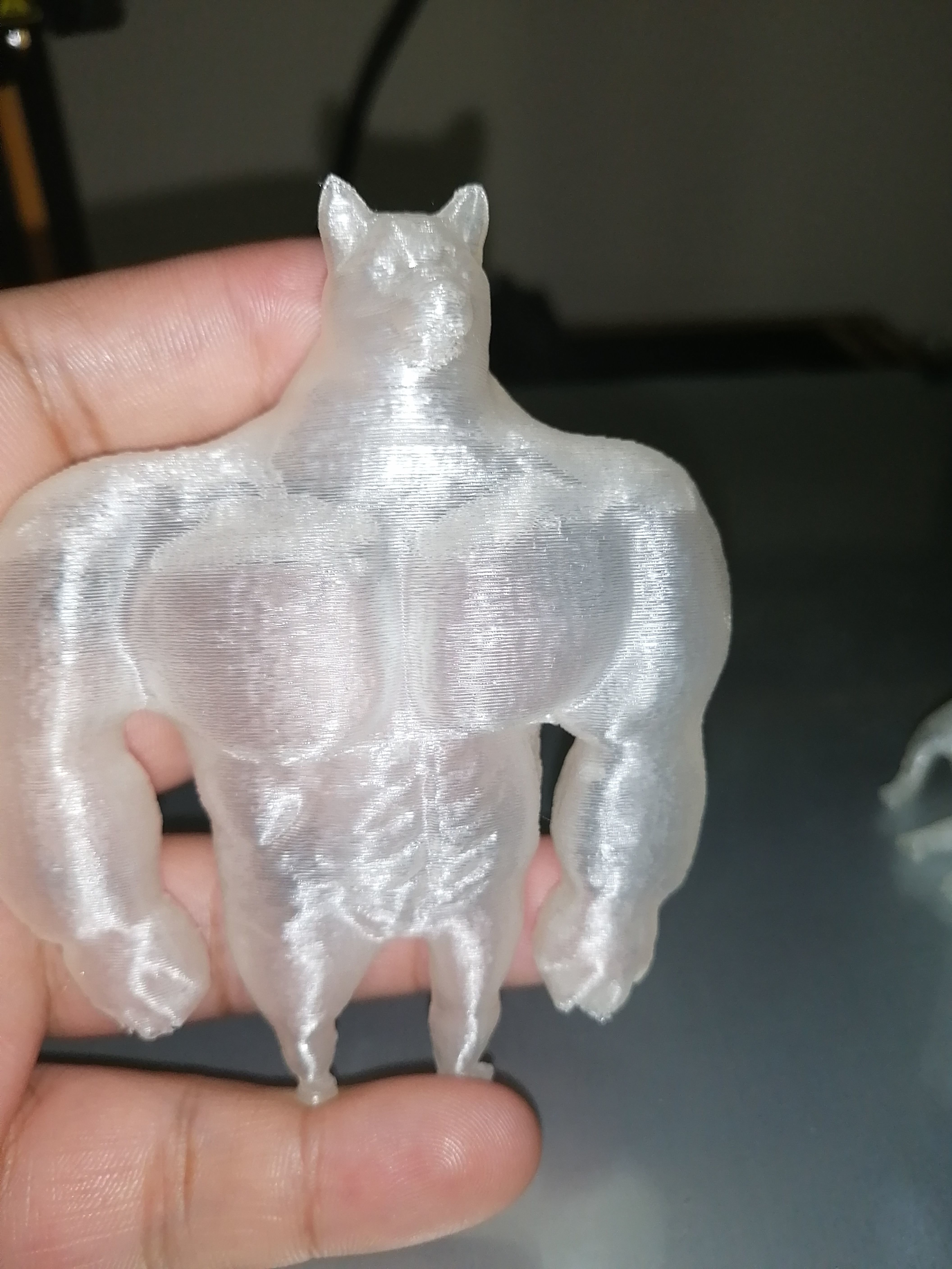SWOLE DOGE MEME 3D print model_9