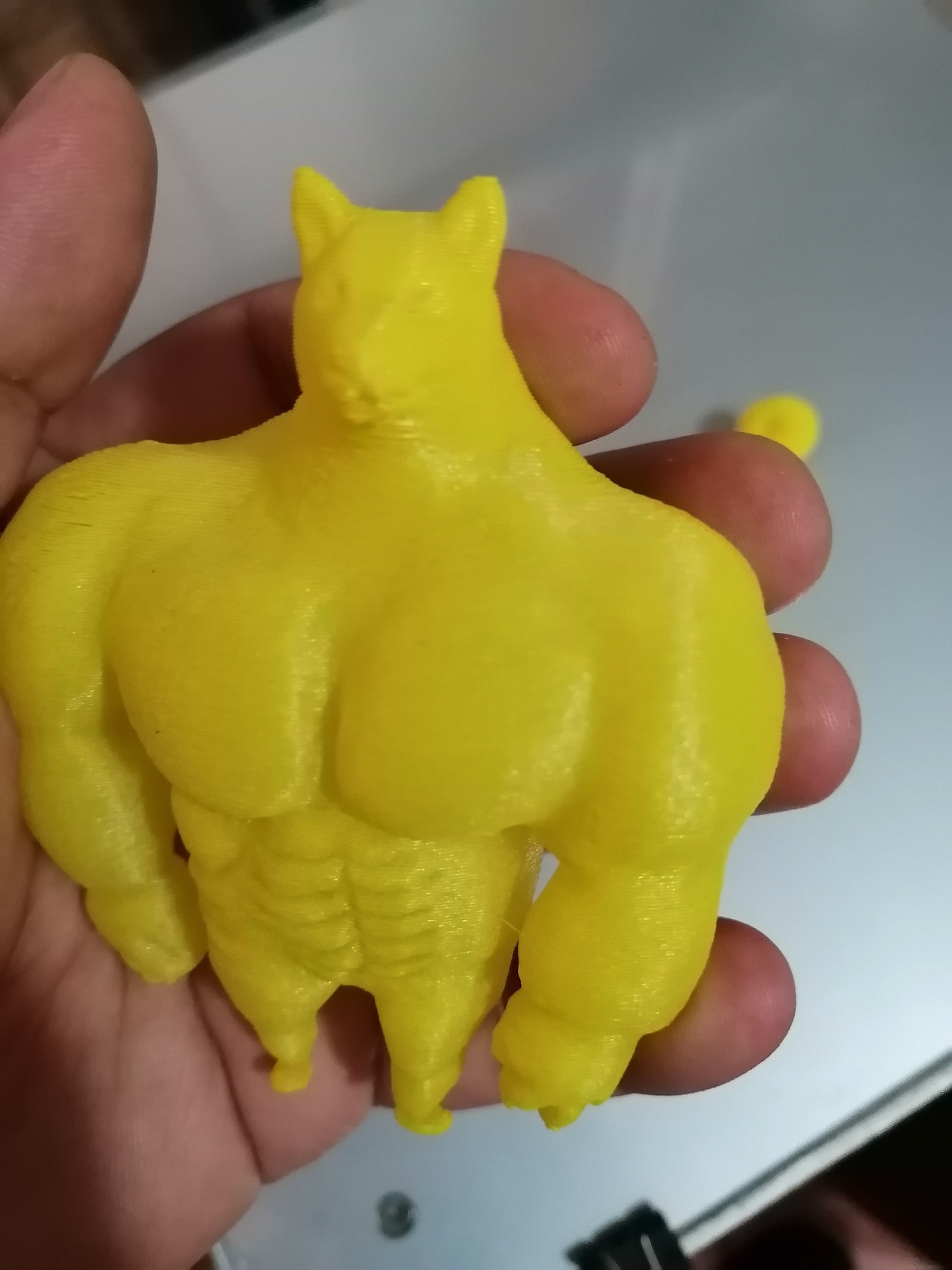 SWOLE DOGE MEME 3D print model_2