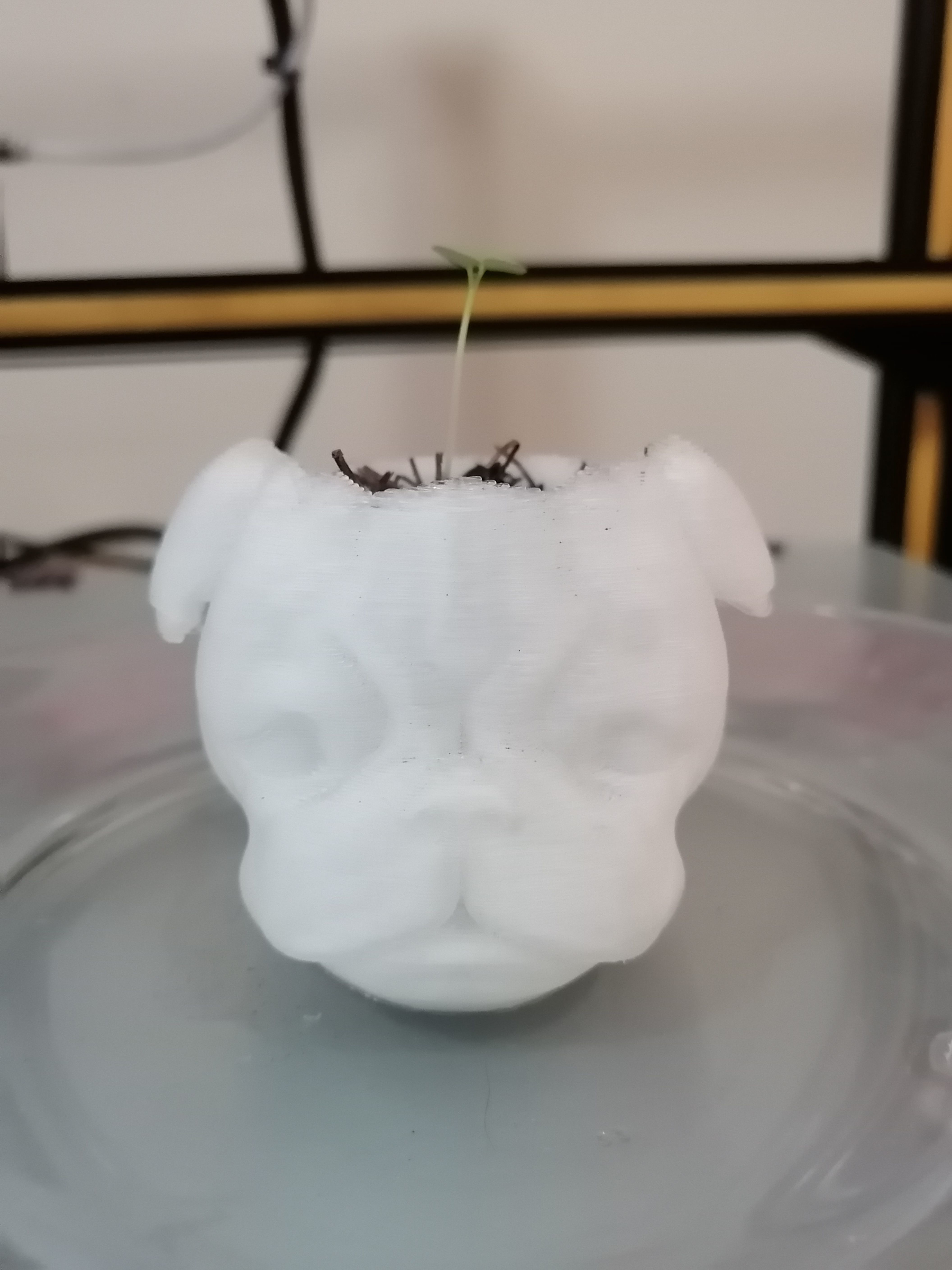 MACETA PLANTER PUG 3D print model_6