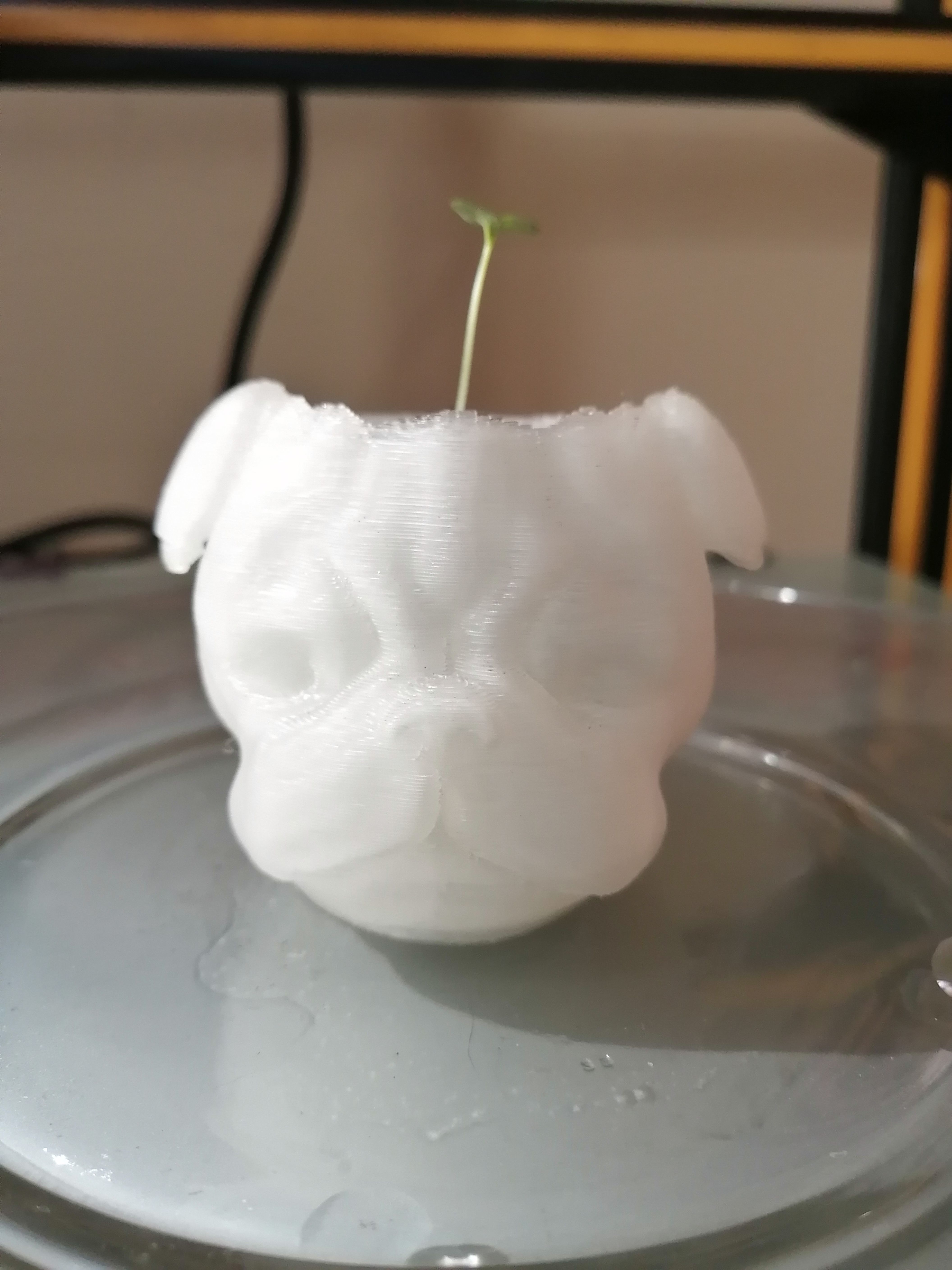 MACETA PLANTER PUG 3D print model_4