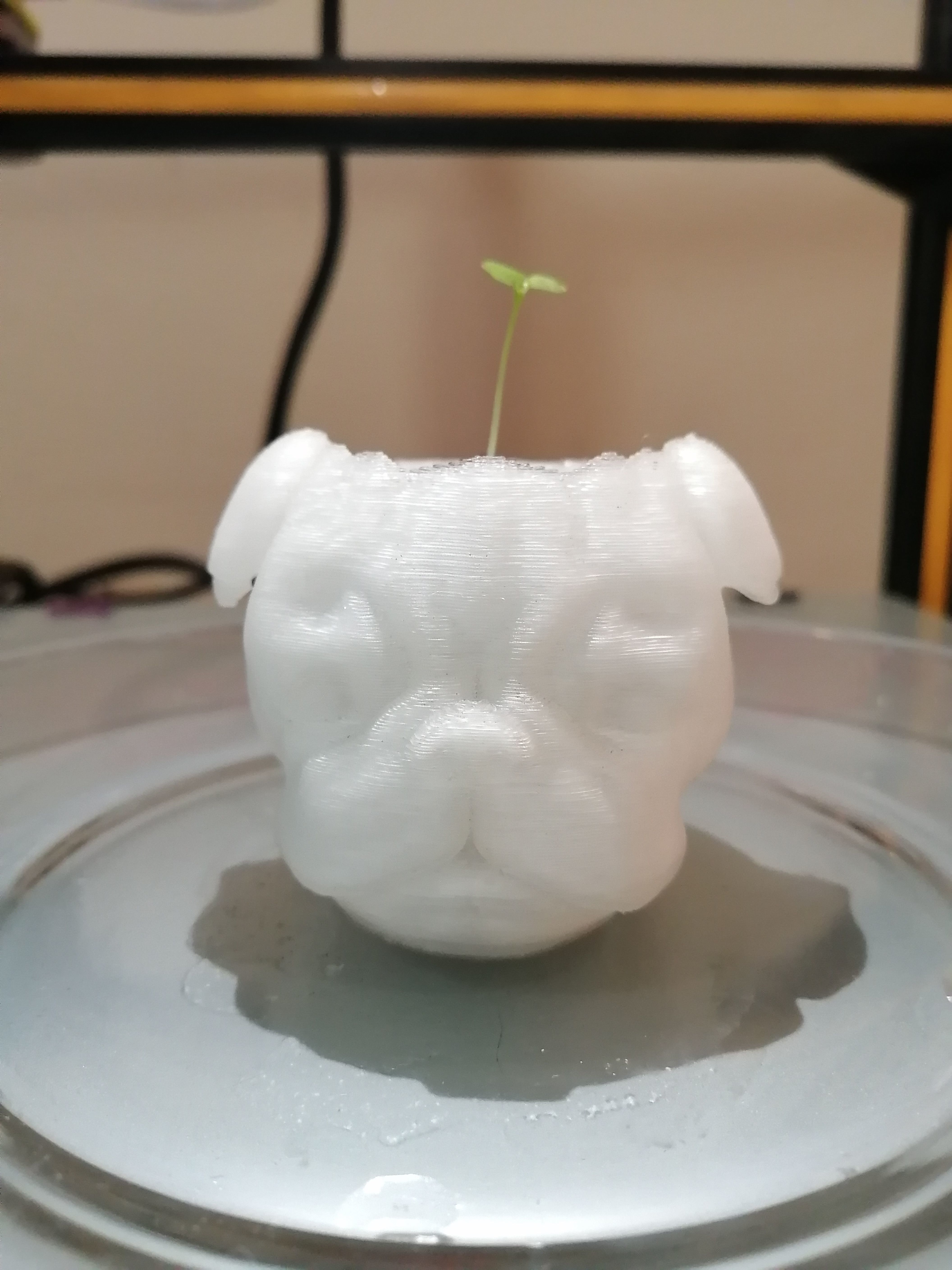 MACETA PLANTER PUG 3D print model_7