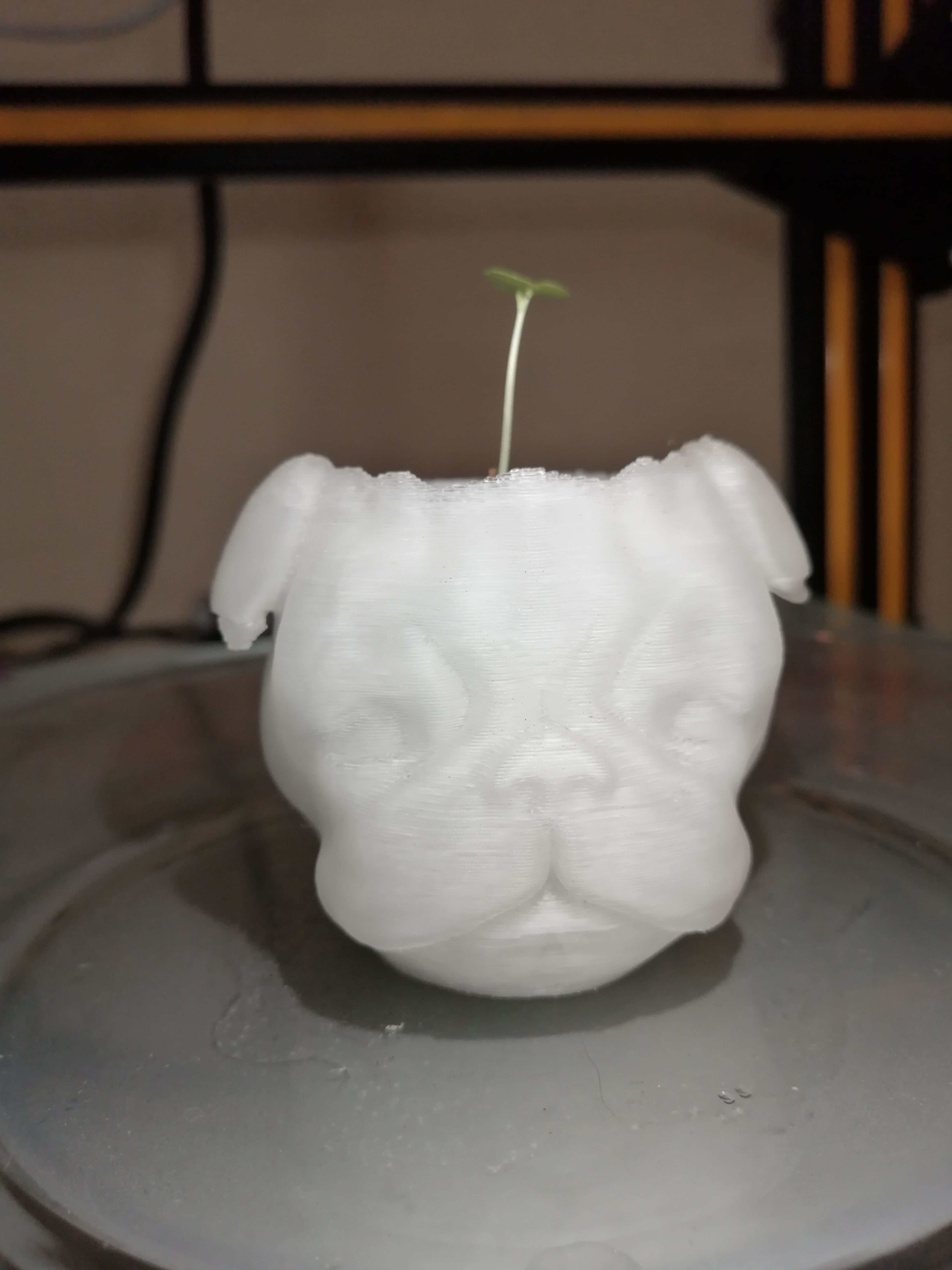 MACETA PLANTER PUG 3D print model_3