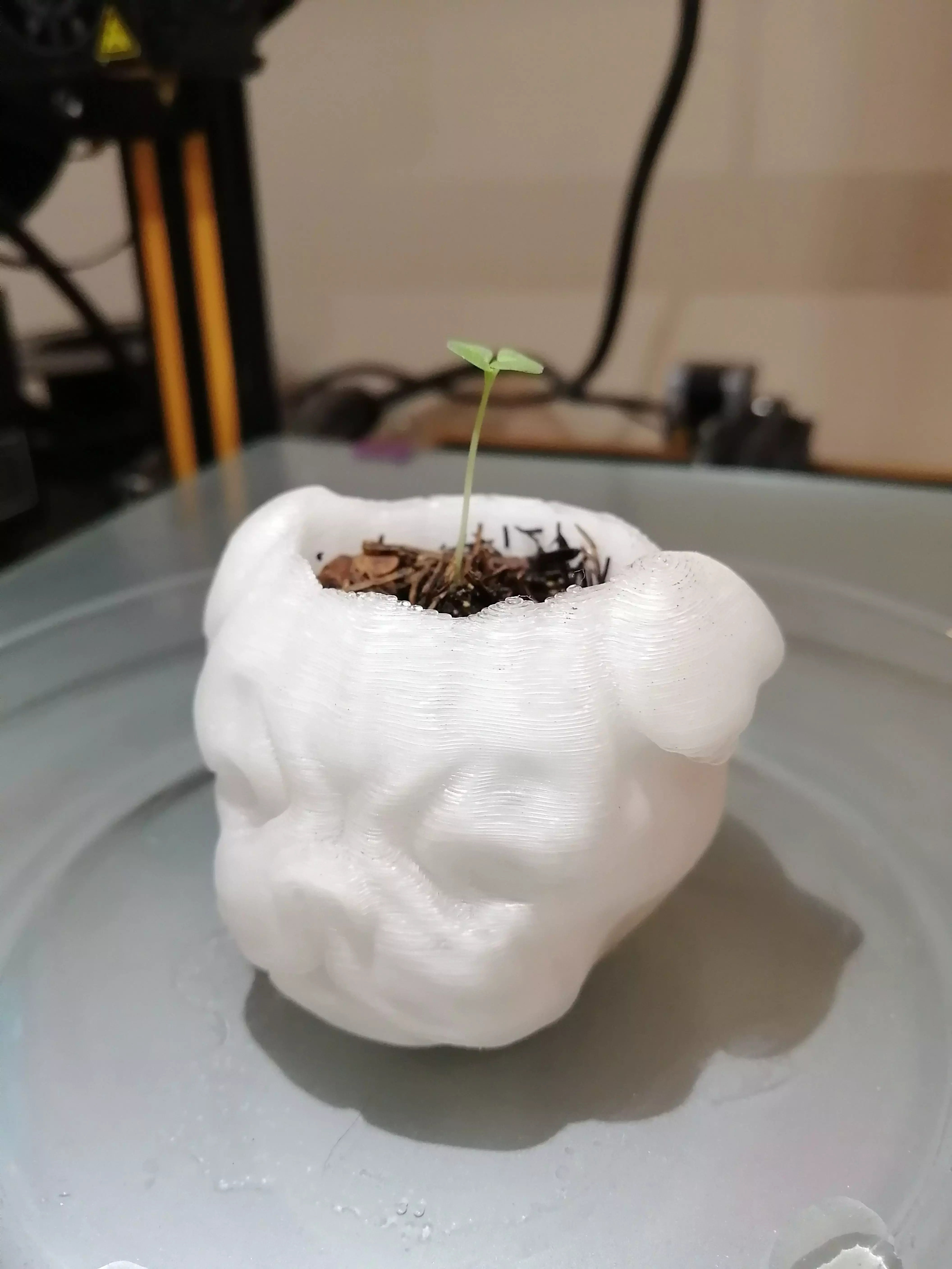 MACETA PLANTER PUG 3D print model_0