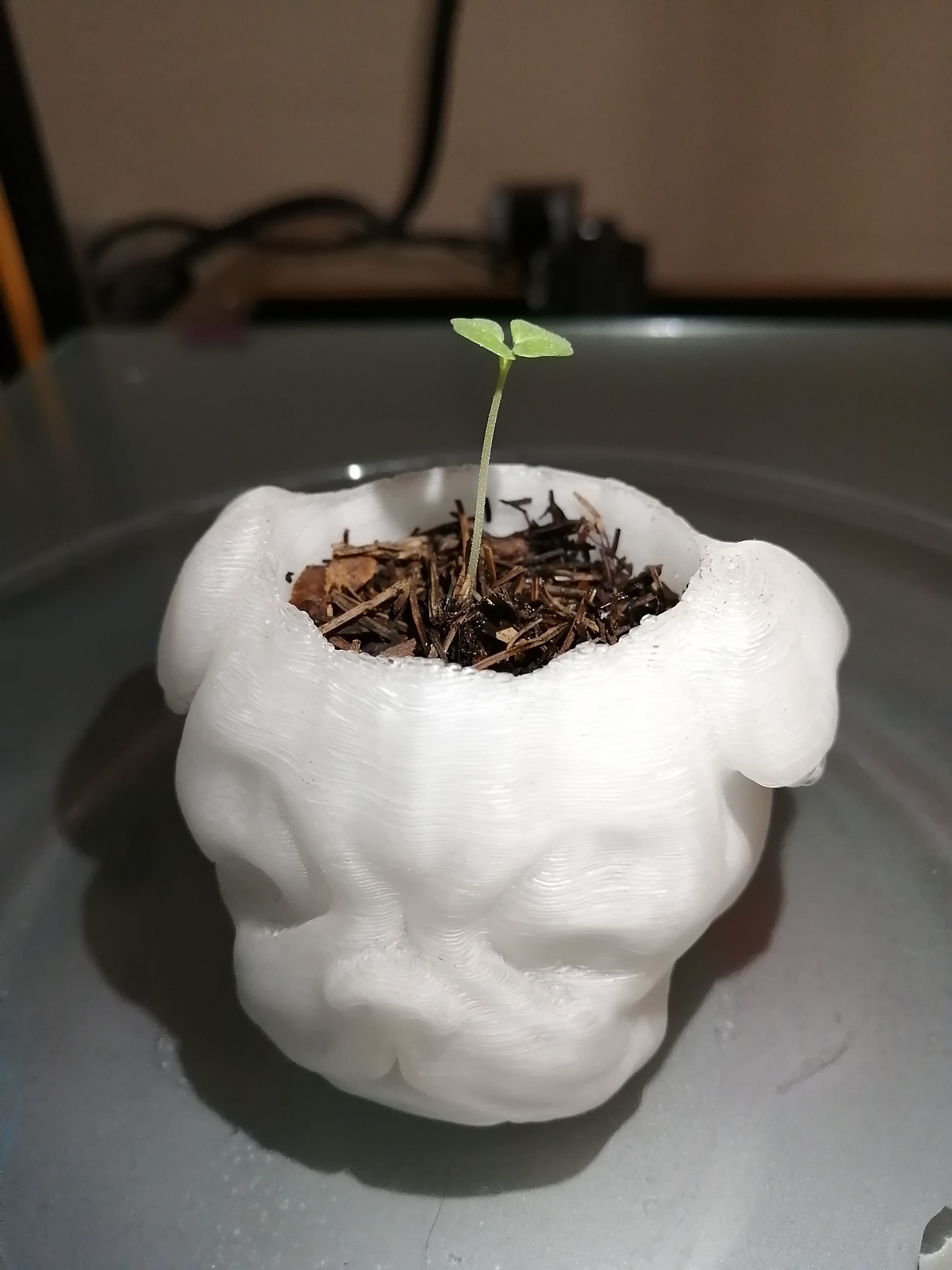 MACETA PLANTER PUG 3D print model_2