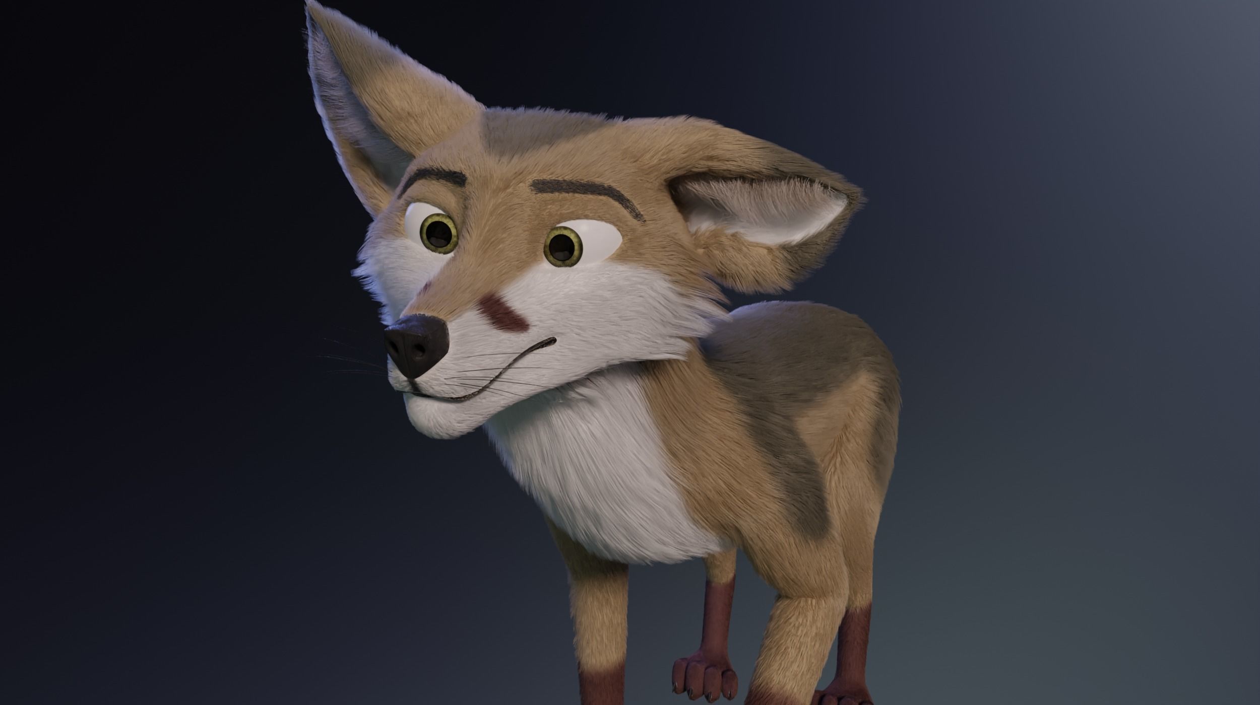 Takoda Fox 3D model_15