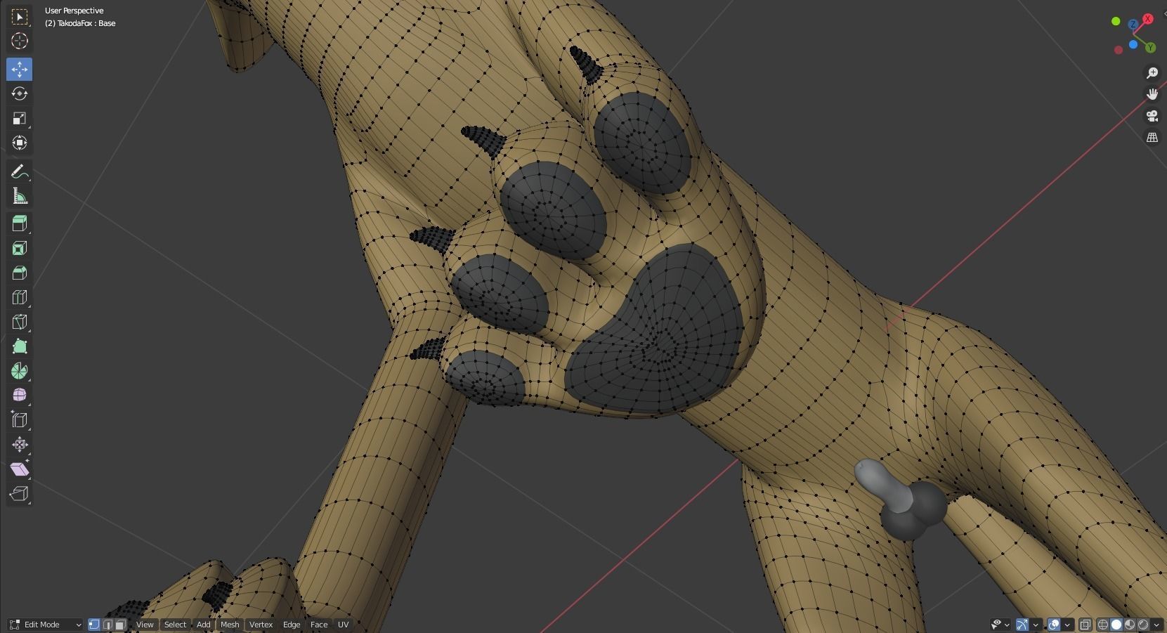 Takoda Fox 3D model_47
