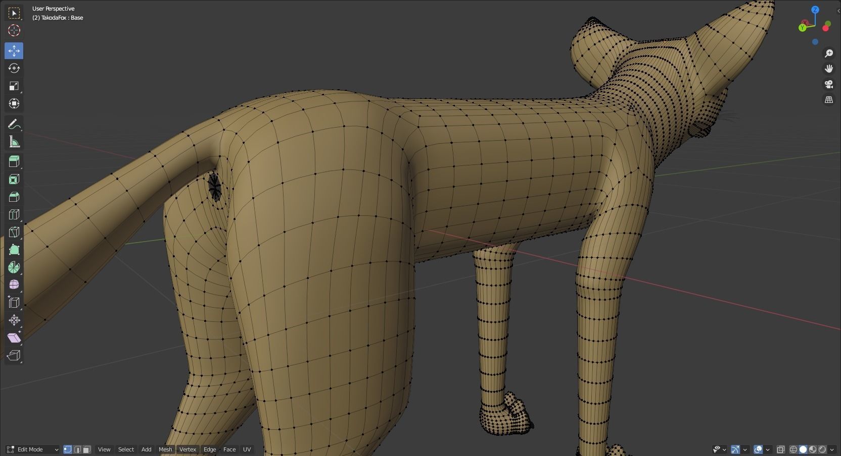 Takoda Fox 3D model_42