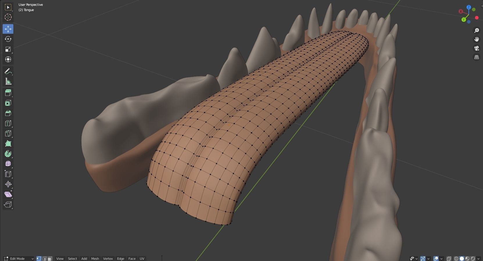 Takoda Fox 3D model_68