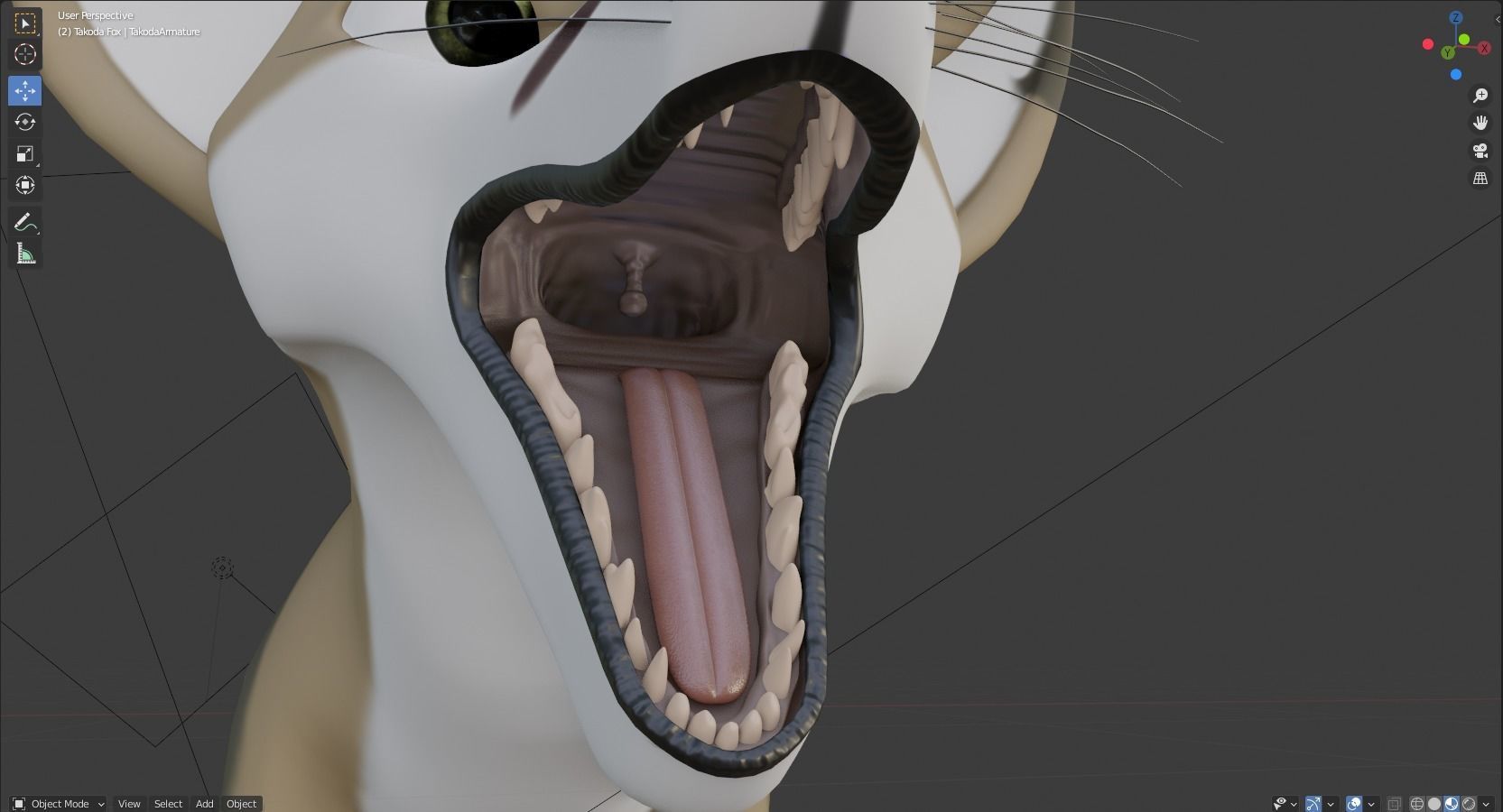 Takoda Fox 3D model_59