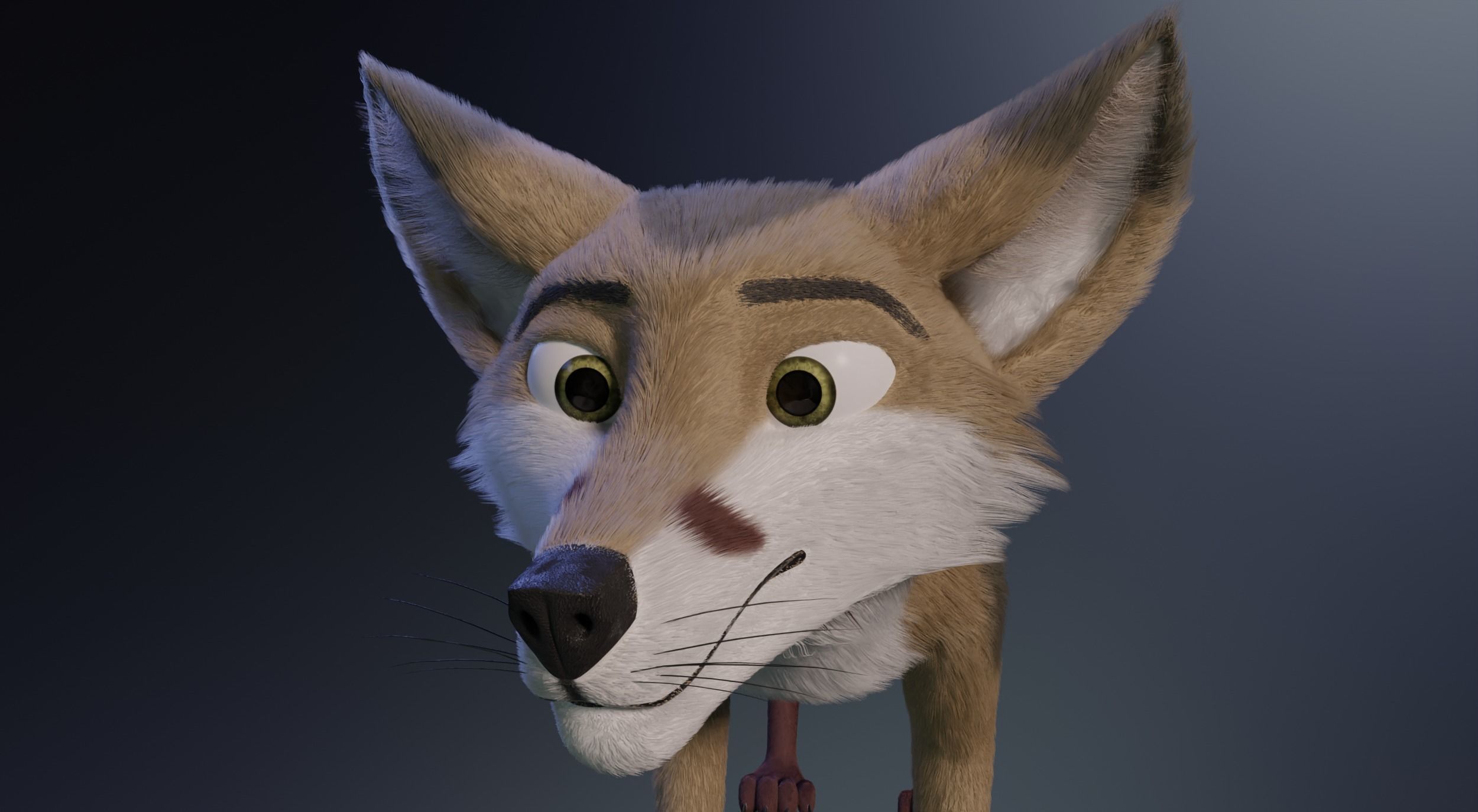 Takoda Fox 3D model_3