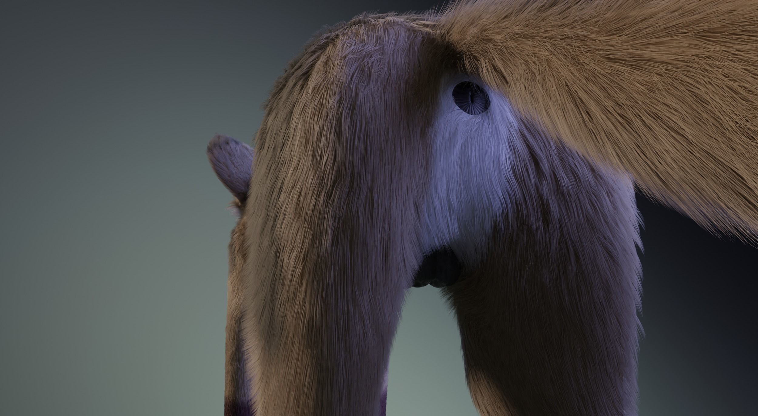 Takoda Fox 3D model_12