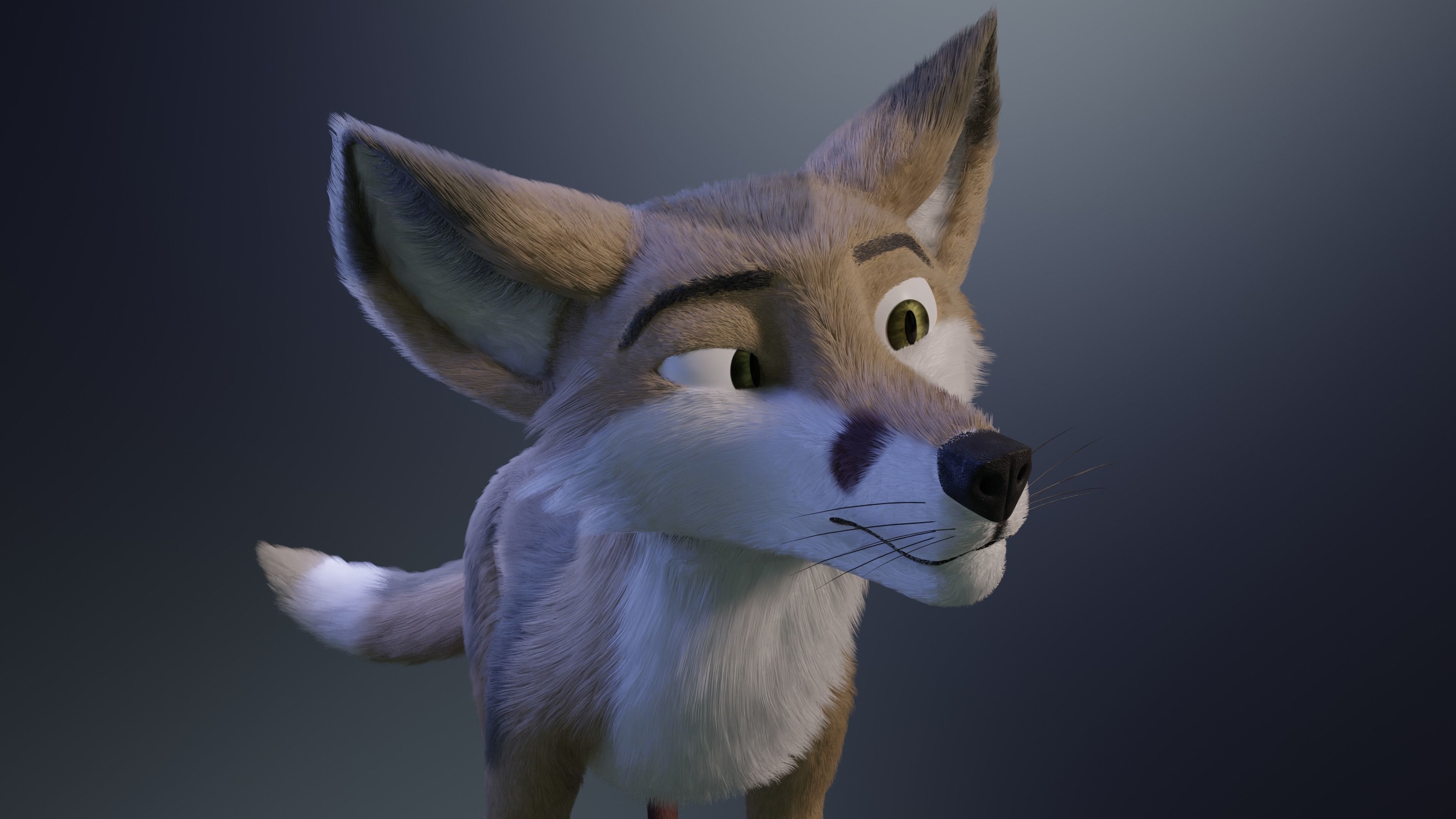 Takoda Fox 3D model_13