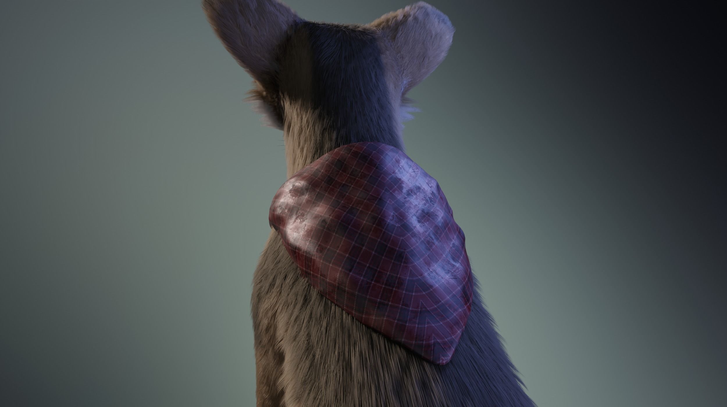 Takoda Fox 3D model_20