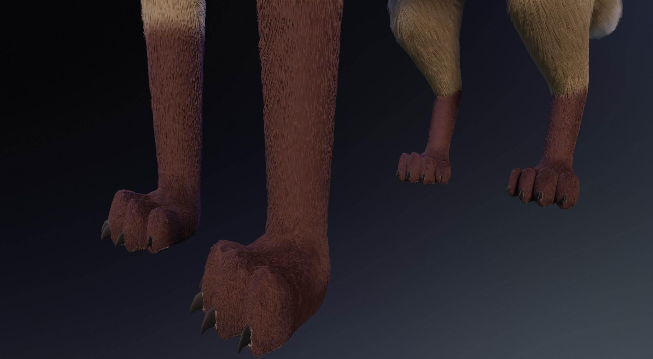 Takoda Fox 3D model_9