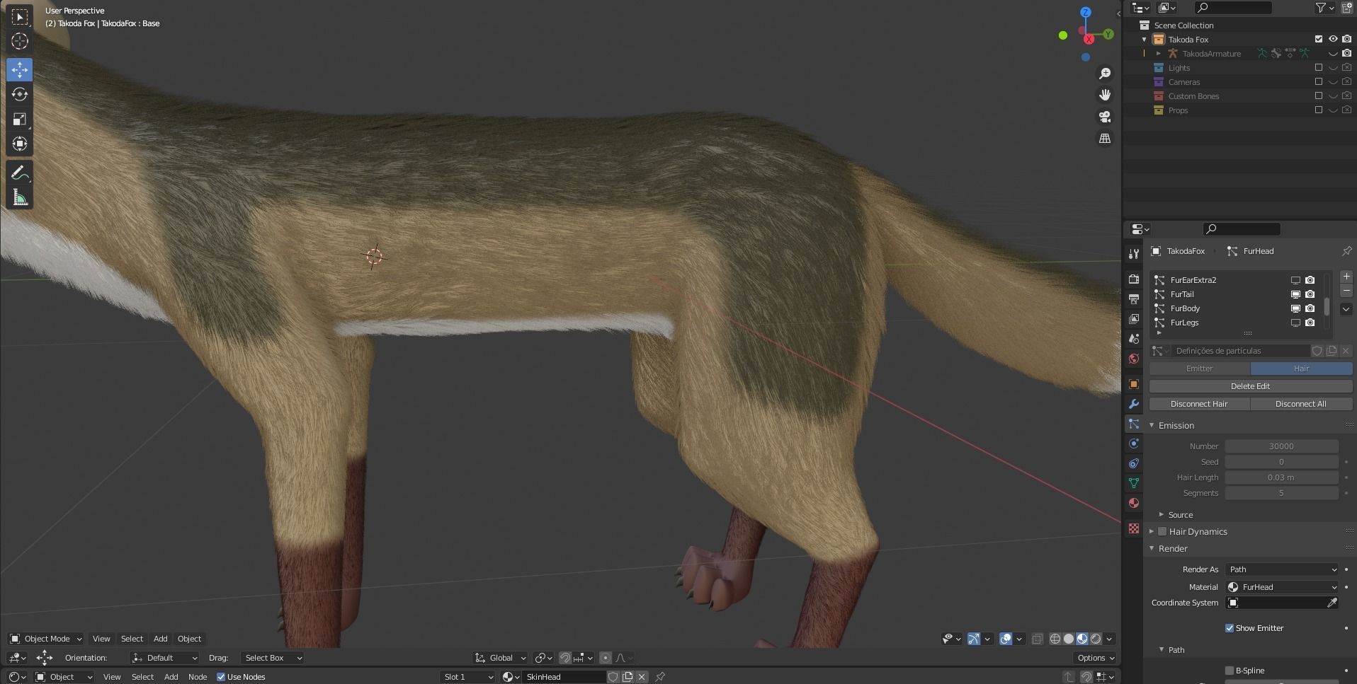 Takoda Fox 3D model_75