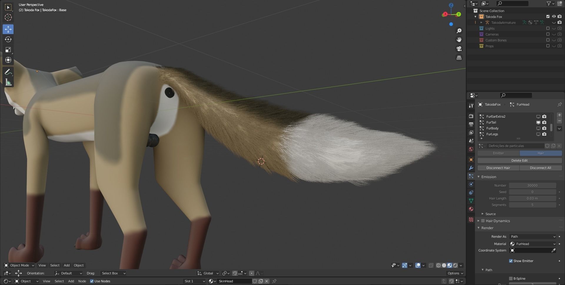 Takoda Fox 3D model_74