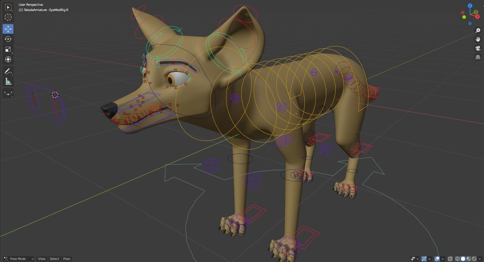 Takoda Fox 3D model_32