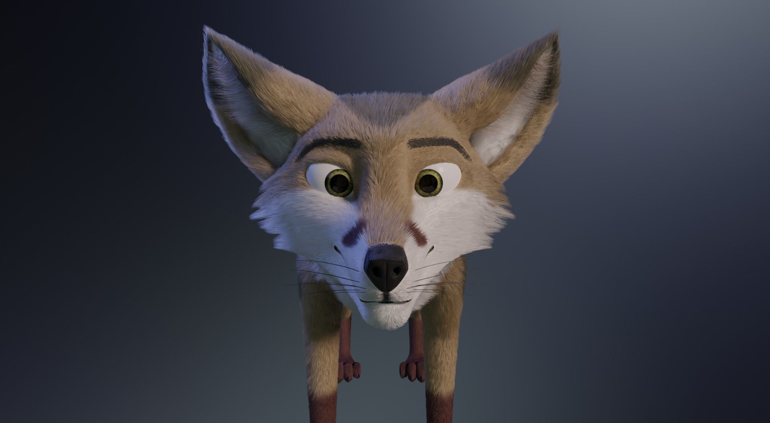 Takoda Fox 3D model_10