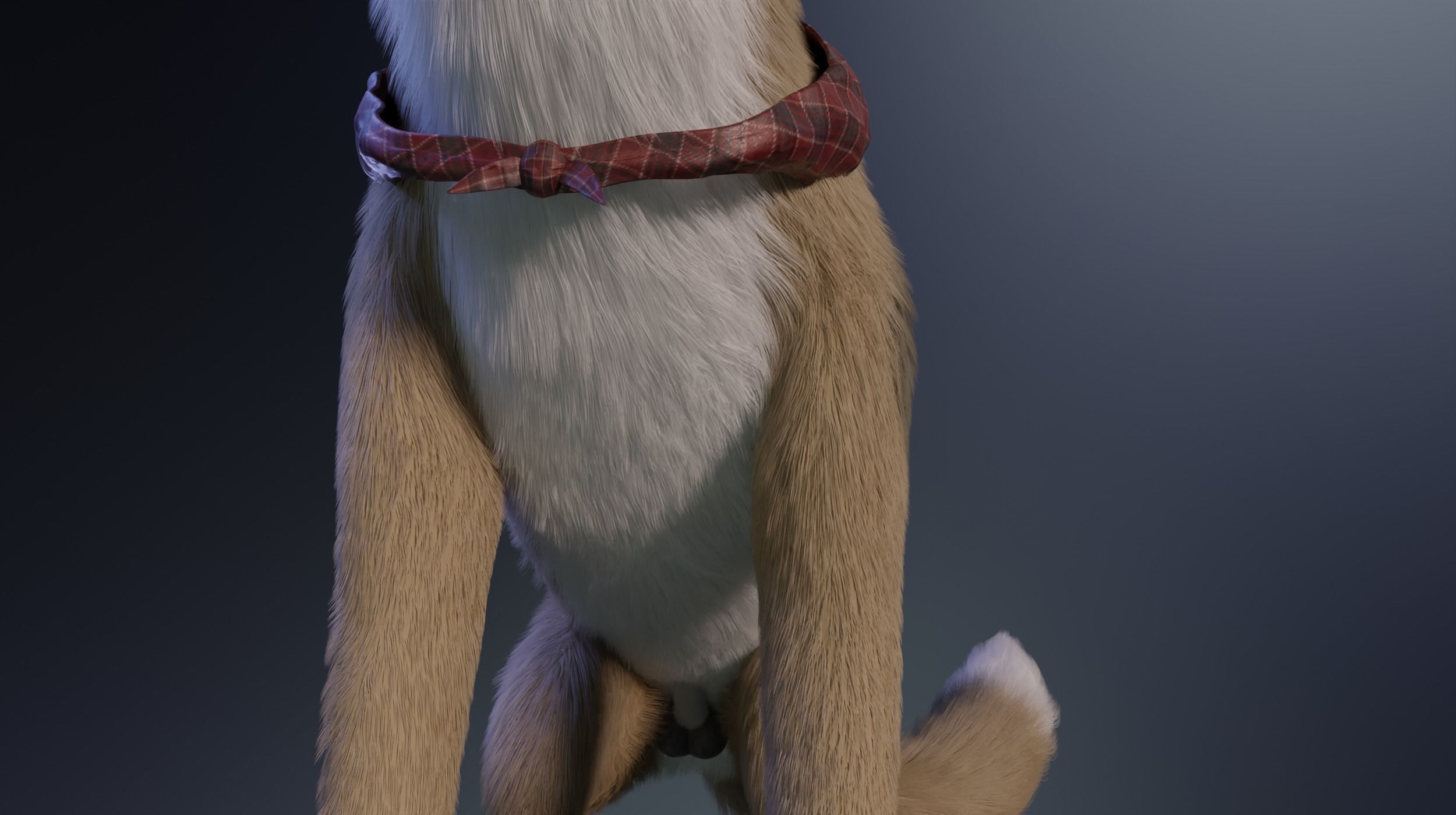 Takoda Fox 3D model_21