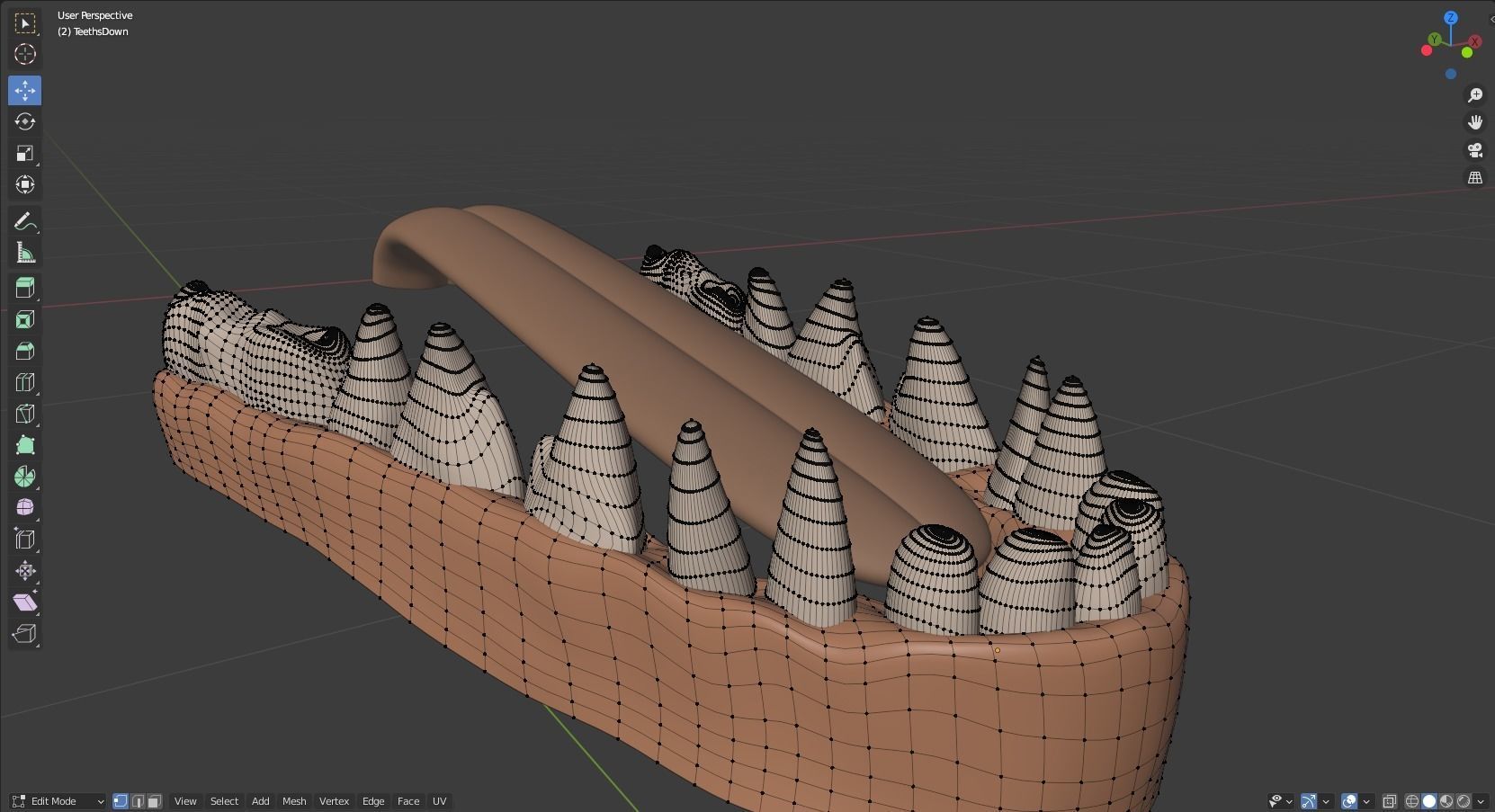 Takoda Fox 3D model_66
