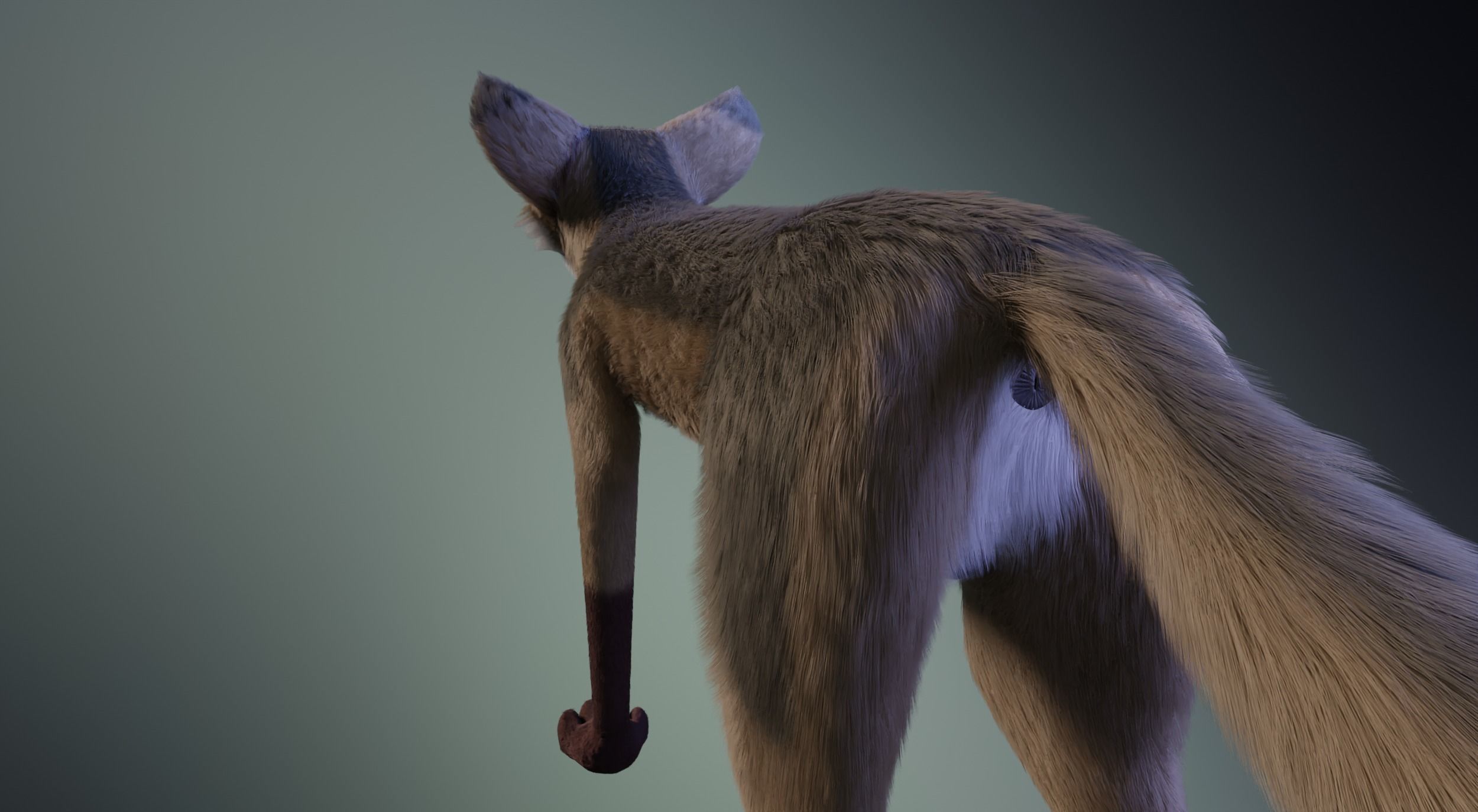 Takoda Fox 3D model_6
