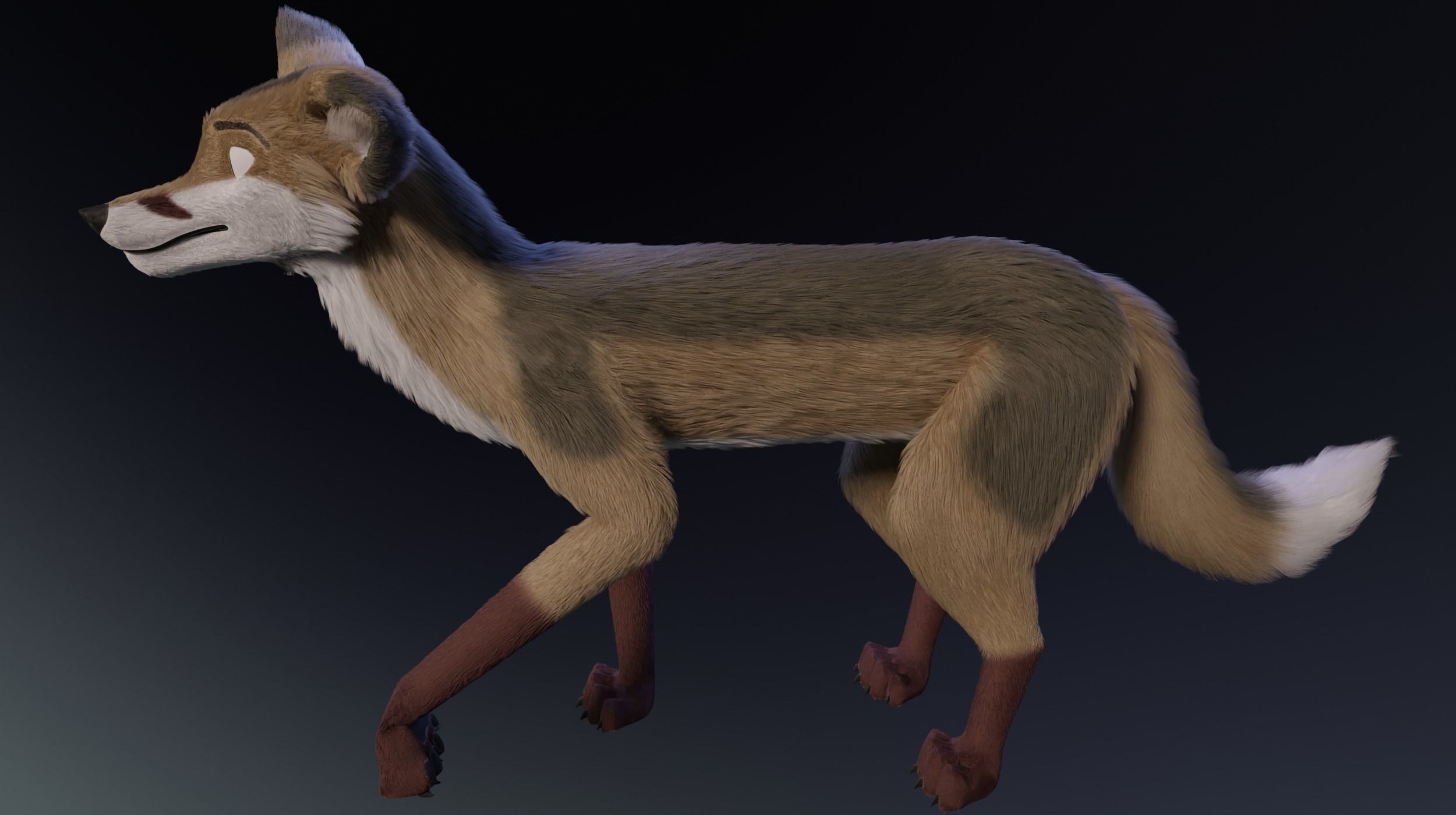 Takoda Fox 3D model_16
