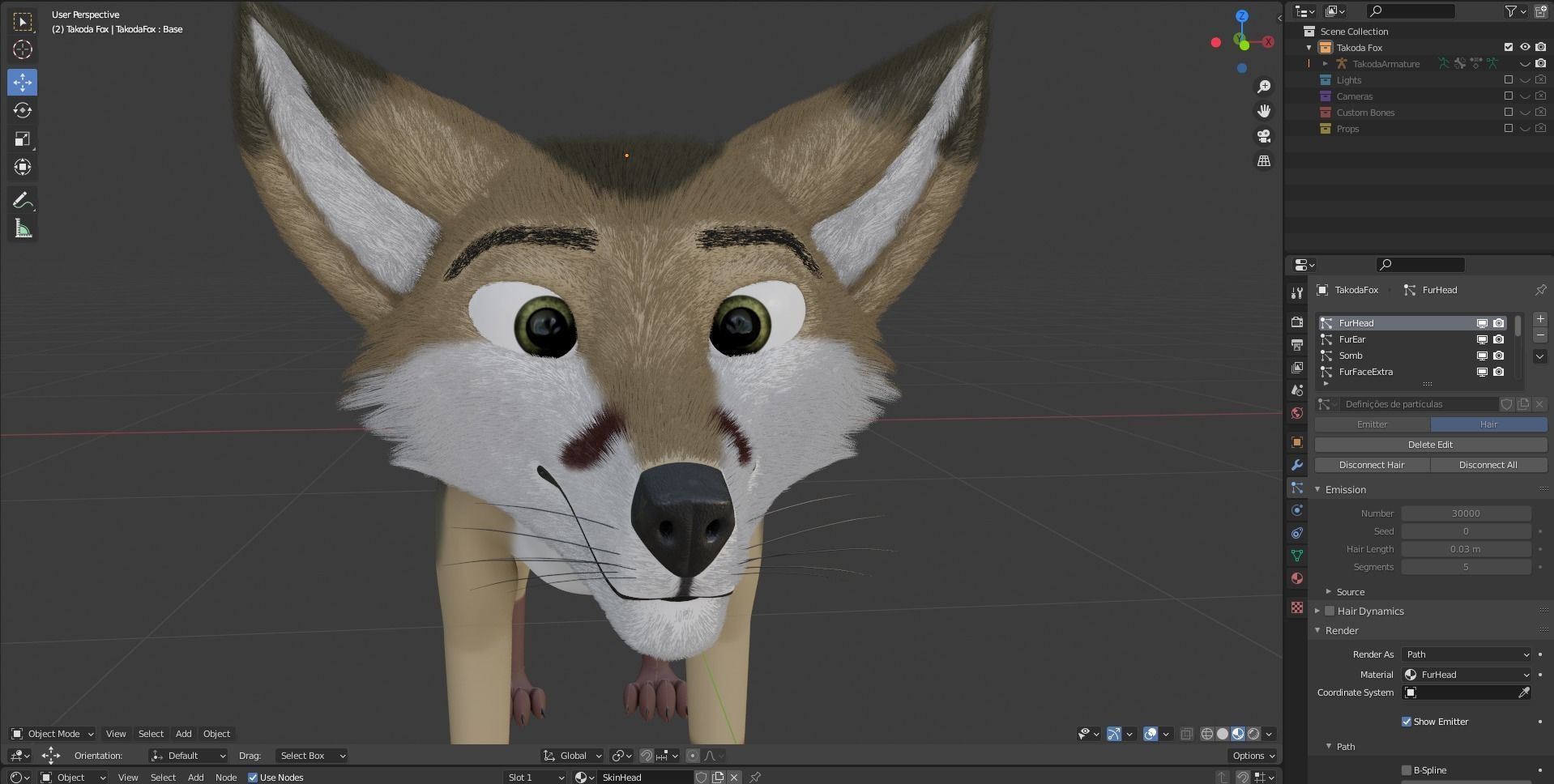 Takoda Fox 3D model_73