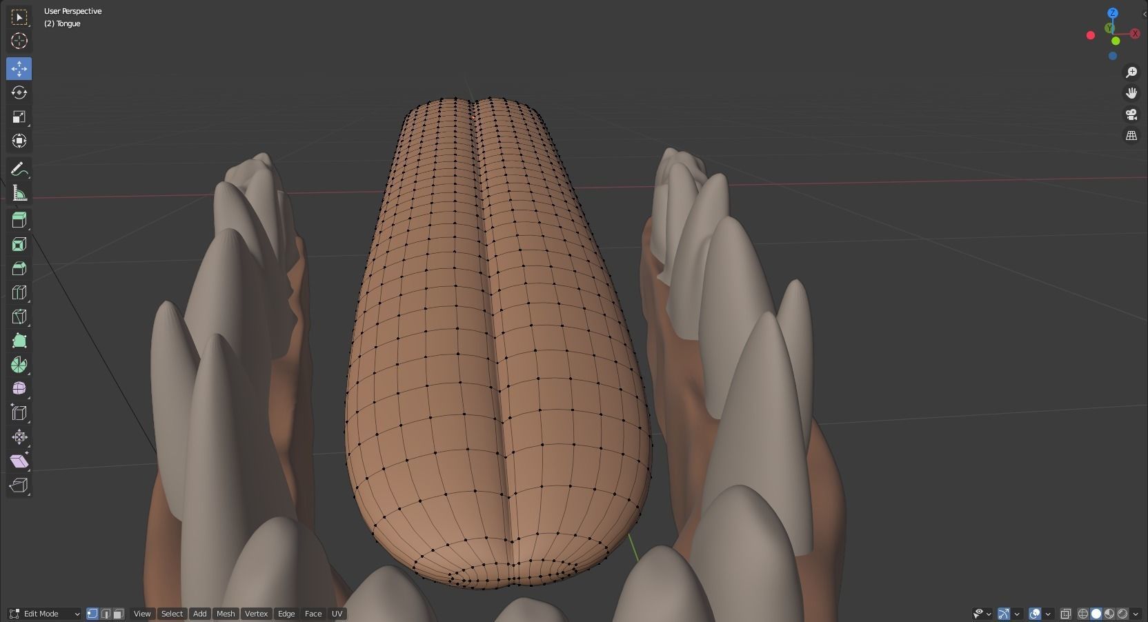Takoda Fox 3D model_69