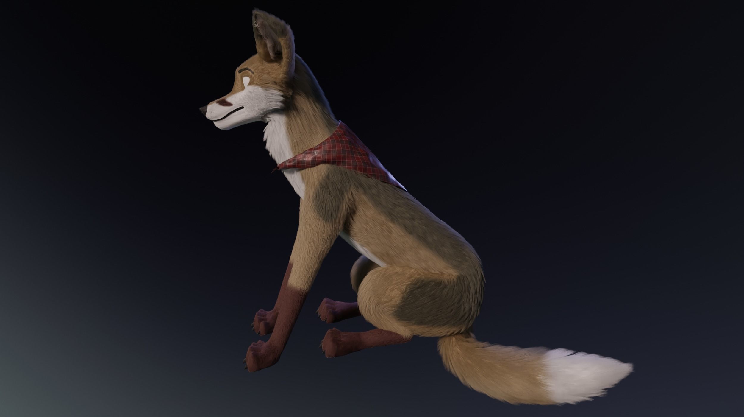 Takoda Fox 3D model_18