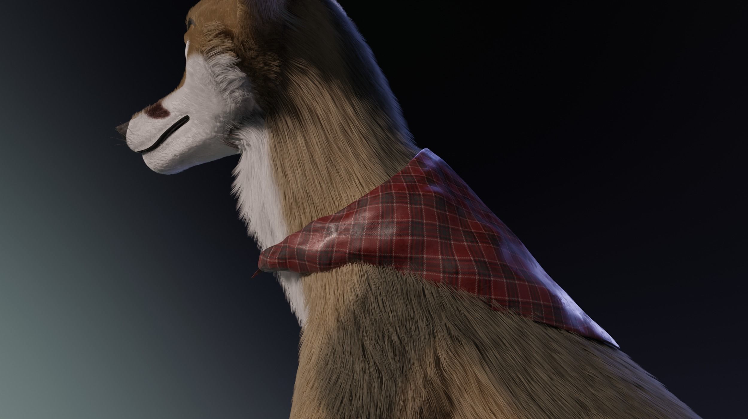 Takoda Fox 3D model_19