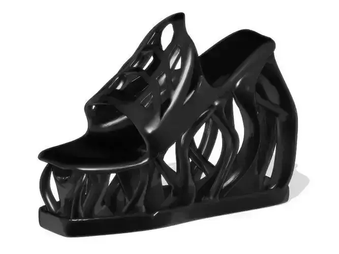 Space Shoes  3D print model