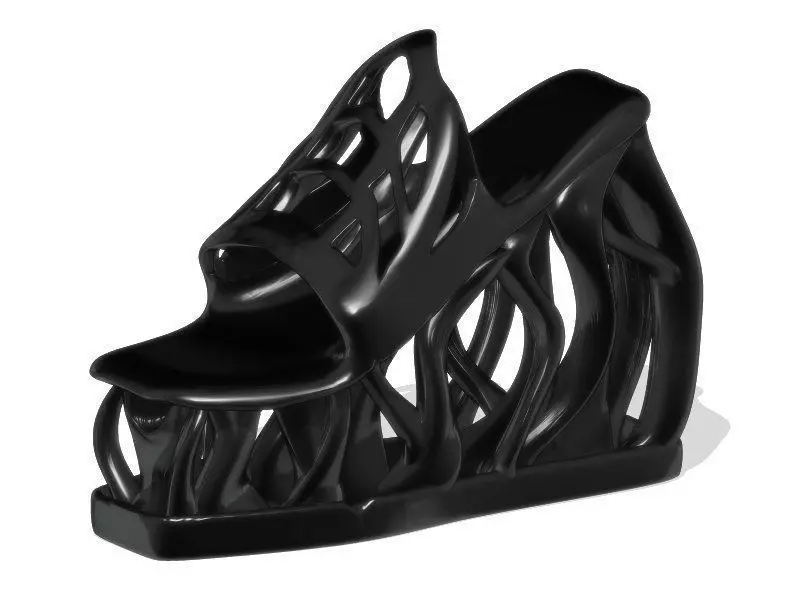 Space Shoes  3D print model_0