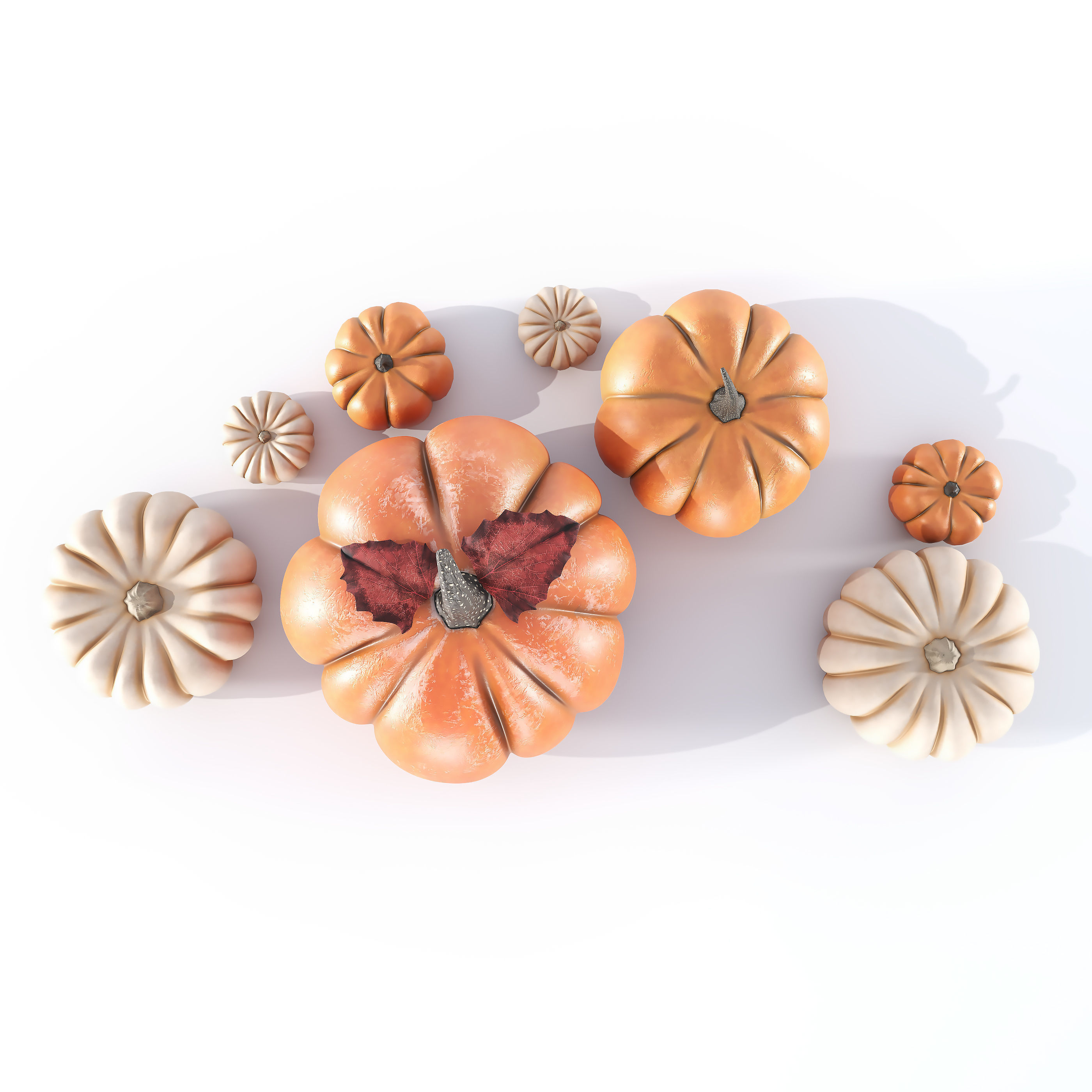 Pumpkins 3D model_2