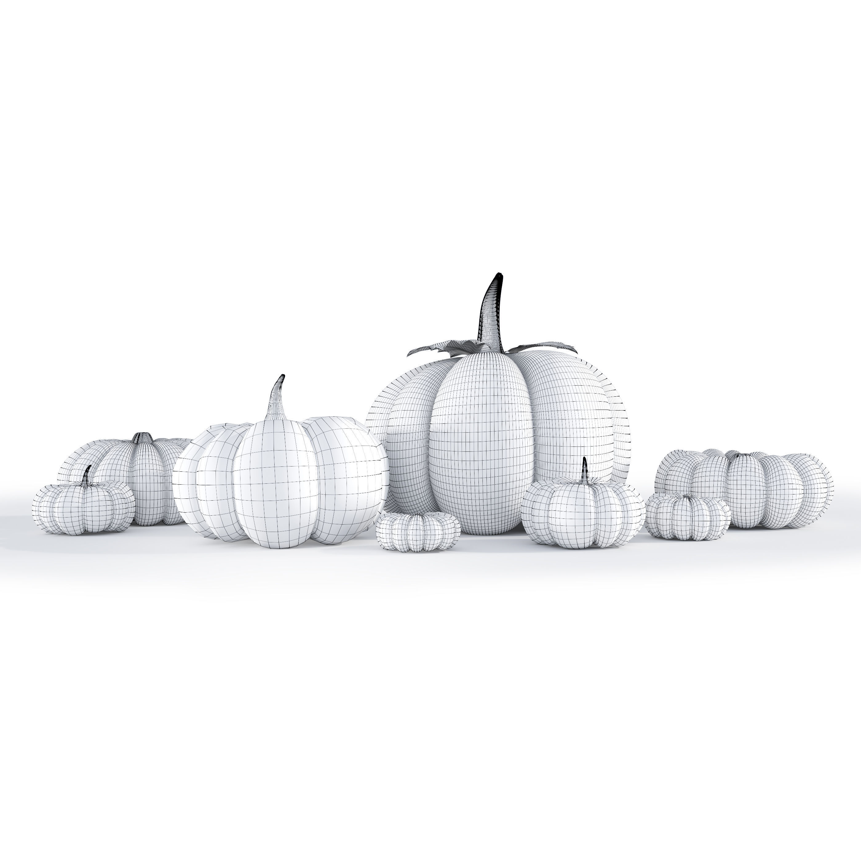 Pumpkins 3D model_4