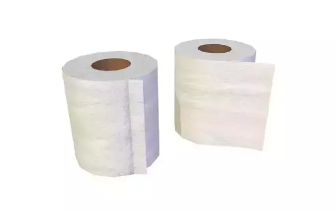 Realistic Low poly Tissue two rolls of toilet paper Low-poly 3D model