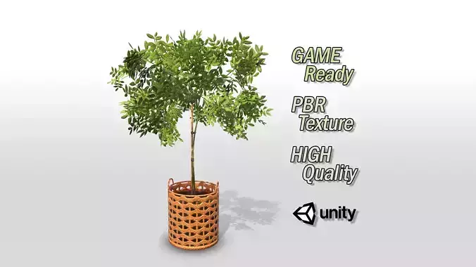 Pot Plant Game Ready