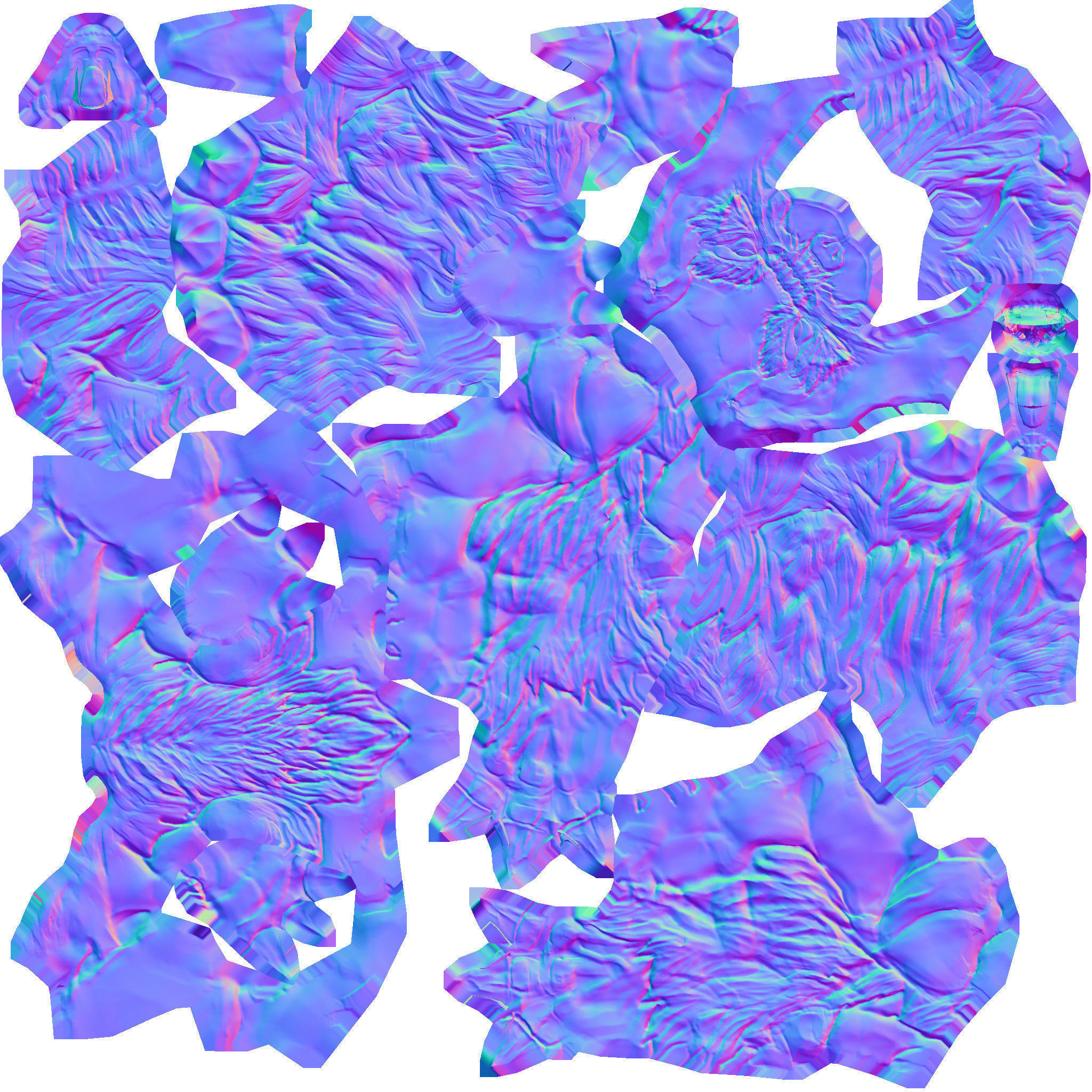 Detective Wolf Low-poly 3D model_31