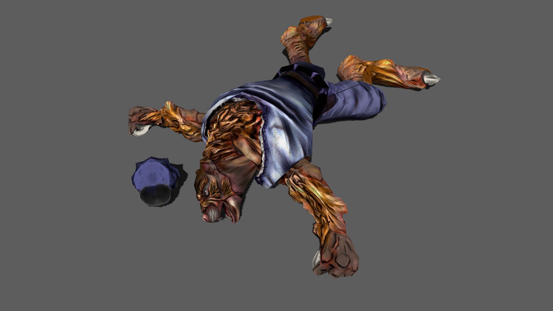 Detective Wolf Low-poly 3D model_13