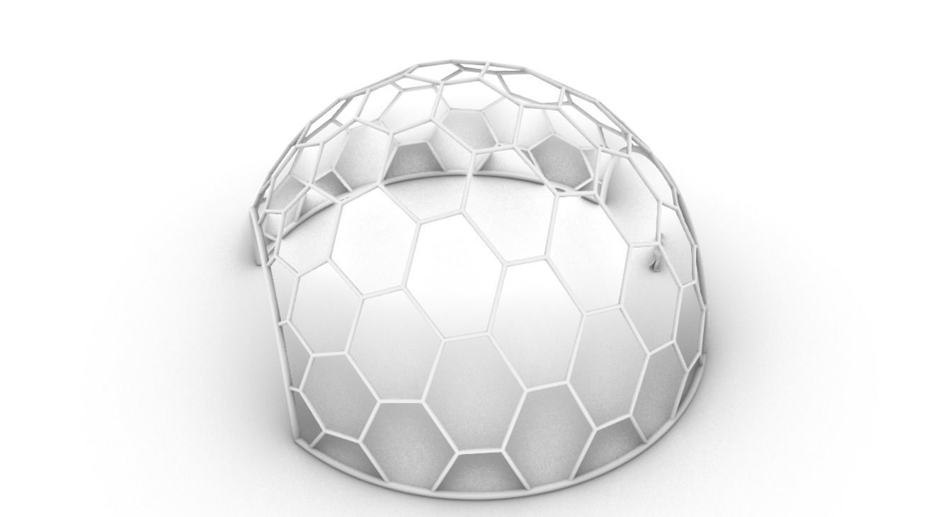Hexagonal Dome structure Geodesic Like Wireframe Design V2 3D model_73